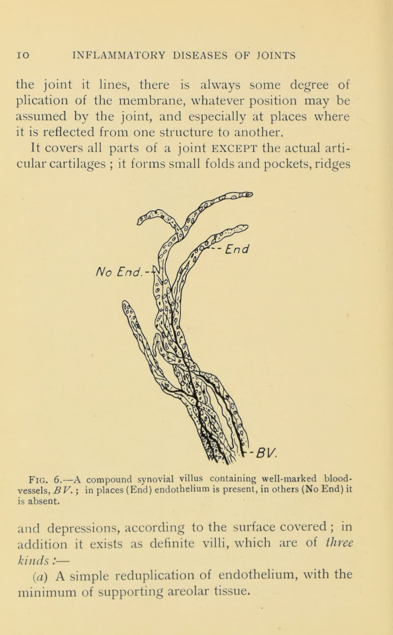 the joint it lines, there is always some degree of plication of the membrane, whatever position may be assumed by the joint, and especially at places where it is reflected from one structure to another. It covers all parts of a joint EXCEPT the actual arti- cular cartilages ; it forms small folds and pockets, ridges Fig. 6.—A compound synovial villus containing well-marked blood- vessels, B V.; in places (End) endothelium is present, in others (No End) it is absent. and depressions, according to the surface covered ; in addition it exists as definite villi, which are of three kinds:— (a) A simple reduplication of endothelium, with the minimum of supporting areolar tissue.
