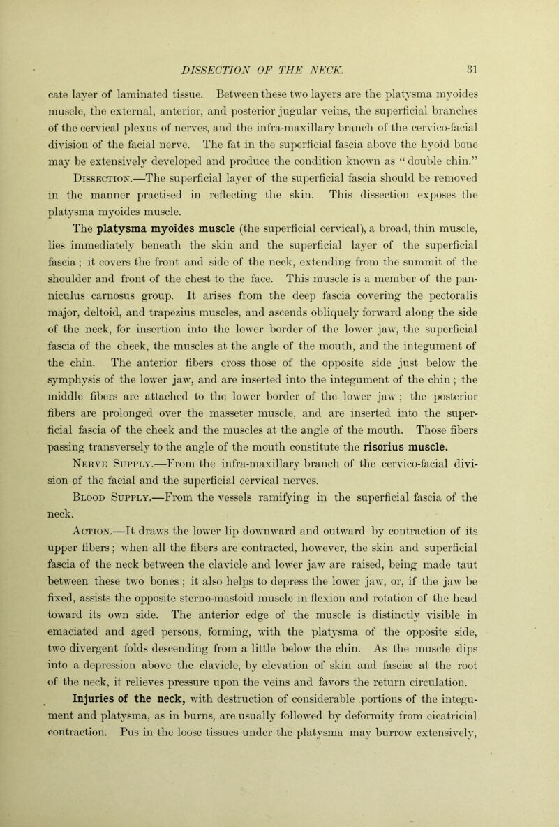 cate layer of laminated tissue. Between these two layers are the platysma myoides muscle, the external, anterior, and posterior jugular veins, the superficial branches of the cervical plexus of nerves, and the infra-maxillary branch of the cervico-facial division of the facial nerve. The fat in the superficial fascia above the h}mid bone may be extensively developed and produce the condition known as “ double chin.” Dissection.—The superficial layer of the superficial fascia should be removed in the manner practised in reflecting the skin. This dissection exposes the platysma myoides muscle. The platysma myoides muscle (the superficial cervical), a broad, thin muscle, lies immediately beneath the skin and the superficial layer of the superficial fascia; it covers the front and side of the neck, extending from the summit of the shoulder and front of the chest to the face. This muscle is a member of the pan- niculus carnosus group. It arises from the deep fascia covering the pectoralis major, deltoid, and trapezius muscles, and ascends obliquely forward along the side of the neck, for insertion into the lower border of the lower jaw, the superficial fascia of the cheek, the muscles at the angle of the mouth, and the integument of the chin. The anterior fibers cross those of the opposite side just below the symphysis of the lower jaw, and are inserted into the integument of the chin ; the middle fibers are attached to the lower border of the lower jaw ; the posterior fibers are prolonged over the masseter muscle, and are inserted into the super- ficial fascia of the cheek and the muscles at the angle of the mouth. Those fibers passing transversely to the angle of the mouth constitute the risorius muscle. Nerve Supply.—From the infra-maxillaiy branch of the cervico-facial divi- sion of the facial and the superficial cervical nerves. Blood Supply.—From the vessels ramifying in the superficial fascia of the neck. Action.—It draws the lower lip downward and outward by contraction of its upper fibers; when all the fibers are contracted, however, the skin and superficial fascia of the neck between the clavicle and lower jaw are raised, being made taut between these two bones ; it also helps to depress the lower jaw, or, if the jaw be fixed, assists the opposite sterno-mastoid muscle in flexion and rotation of the head toward its own side. The anterior edge of the muscle is distinctly visible in emaciated and aged persons, forming, with the platysma of the opposite side, two divergent folds descending from a little below the chin. As the muscle dips into a depression above the clavicle, by elevation of skin and fascise at the root of the neck, it relieves pressure upon the veins and favors the return circulation. Injuries of the neck, with destruction of considerable .portions of the integu- ment and platysma, as in burns, are usuall} followed by deformity from cicatricial contraction. Pus in the loose tissues under the platysma may burrow extensively.