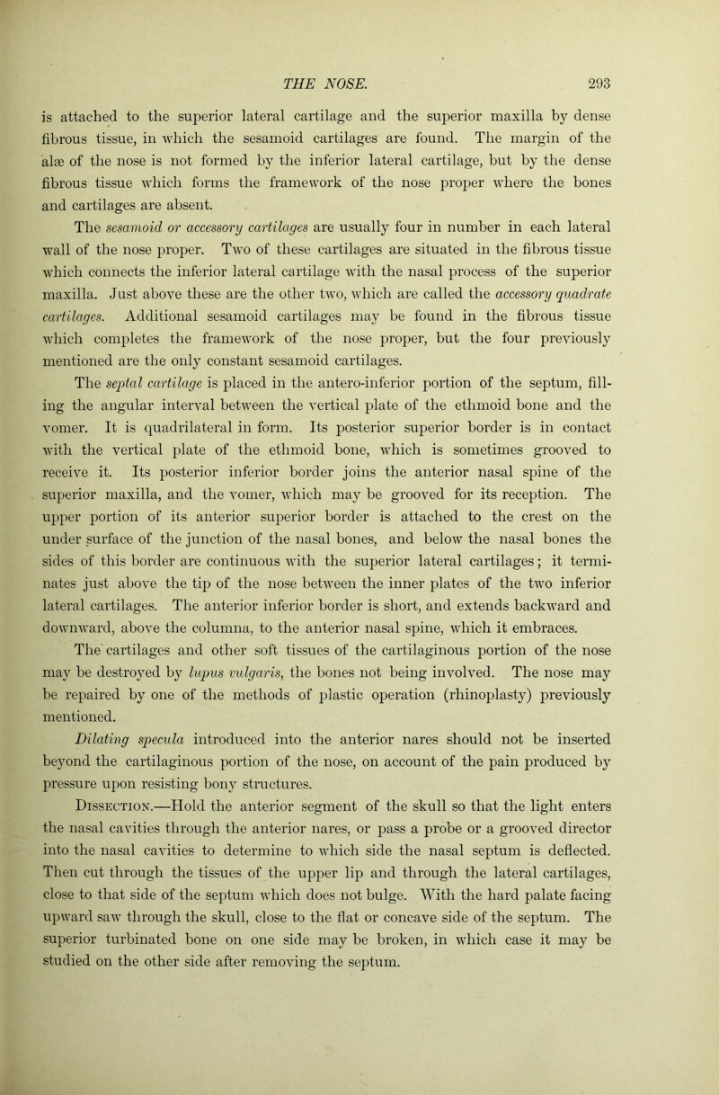 is attached to the superior lateral cartilage and the superior maxilla by dense fibrous tissue, in which the sesamoid cartilages are found. The margin of the alee of the nose is not formed by the inferior lateral cartilage, but by the dense fibrous tissue which forms the framework of the nose proper where the bones and cartilages are absent. The sesamoid or accessory cartilages are usually four in number in each lateral wall of the nose proper. Two of these cartilages are situated in the fibrous tissue which connects the inferior lateral cartilage with the nasal process of the superior maxilla. Just above these are the other two, which are called the accessory quadrate cartilages. Additional sesamoid cartilages may be found in the fibrous tissue which completes the framework of the nose proper, but the four previously mentioned are the only constant sesamoid cartilages. The septal cartilage is placed in the antero-inferior portion of the septum, fill- ing the angular interval between the vertical plate of the ethmoid bone and the vomer. It is quadrilateral in form. Its posterior superior border is in contact with the vertical plate of the ethmoid bone, which is sometimes grooved to receive it. Its posterior inferior border joins the anterior nasal spine of the superior maxilla, and the vomer, which may be grooved for its reception. The upper portion of its anterior superior border is attached to the crest on the under surface of the junction of the nasal bones, and below the nasal bones the sides of this border are continuous with the superior lateral cartilages; it termi- nates just above the tip of the nose between the inner plates of the two inferior lateral cartilages. The anterior inferior border is short, and extends backward and downward, above the columna, to the anterior nasal spine, which it embraces. The' cartilages and other soft tissues of the cartilaginous portion of the nose may be destroyed by lupus vulgaris, the bones not being involved. The nose may be repaired by one of the methods of plastic operation (rhinoplasty) previously mentioned. Dilating specula introduced into the anterior nares should not be inserted beyond the cartilaginous portion of the nose, on account of the pain produced by pressure upon resisting bony structures. Dissection.—Hold the anterior segment of the skull so that the light enters the nasal cavities through the anterior nares, or pass a probe or a grooved director into the nasal cavities to determine to which side the nasal septum is deflected. Then cut through the tissues of the upper lip and through the lateral cartilages, close to that side of the septum which does not bulge. With the hard palate facing upward saw through the skull, close to the flat or concave side of the septum. The superior turbinated bone on one side may be broken, in which case it may be studied on the other side after removing the septum.