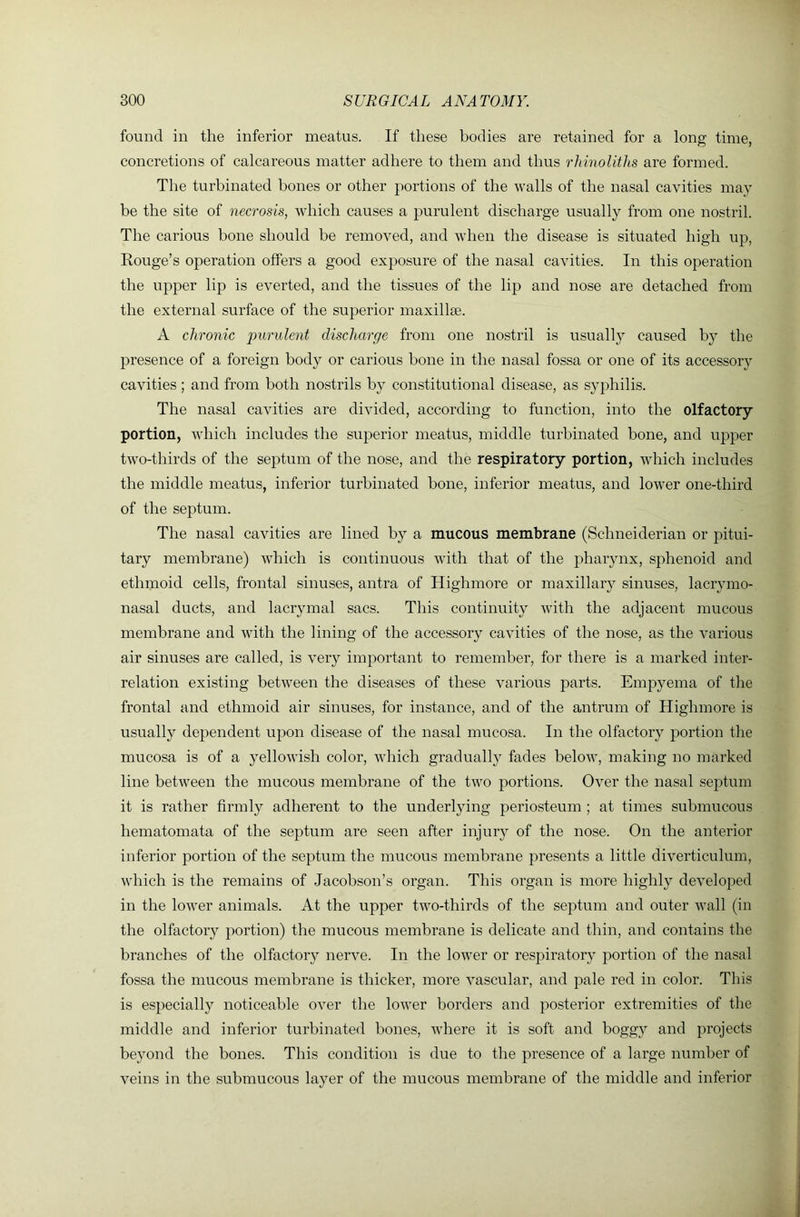 found in the inferior meatus. If these bodies are retained for a long time, concretions of calcareous matter adhere to them and thus rldnoliths are formed. The turbinated hones or other portions of the walls of the nasal cavities may be the site of necrosis, which causes a purulent discharge usually from one nostril. The carious bone should be removed, and when the disease is situated high up, Rouge’s operation offers a good exposure of the nasal cavities. In this operation the upper lip is everted, and the tissues of the lip and nose are detached from the external surface of the superior maxillae. A chronic purulent discharge from one nostril is usually caused by the presence of a foreign body or carious bone in the nasal fossa or one of its accessory cavities ; and from both nostrils by constitutional disease, as syphilis. The nasal cavities are divided, according to function, into the olfactory portion, which includes the superior meatus, middle turbinated bone, and upper two-thirds of the septum of the nose, and the respiratory portion, which includes the middle meatus, inferior turbinated bone, inferior meatus, and lower one-third of the septum. The nasal cavities are lined by a mucous membrane (Schneiderian or pitui- tary membrane) which is continuous with that of the pharynx, sphenoid and ethmoid cells, frontal sinuses, antra of Highmore or maxillary sinuses, lacrymo- nasal ducts, and lacrymal sacs. This continuity with the adjacent mucous membrane and with the lining of the accessory cavities of the nose, as the various air sinuses are called, is very important to remember, for there is a marked inter- relation existing between the diseases of these various parts. Empyema of the frontal and ethmoid air sinuses, for instance, and of the antrum of Highmore is usually dependent upon disease of the nasal mucosa. In the olfactory j)ortion the mucosa is of a yellowish color, which gradually fades below, making no marked line between the mucous membrane of the two portions. Over the nasal septum it is rather firmly adherent to the underlying periosteum ; at times submucous hematomata of the septum are seen after injury of the nose. On the anterior inferior portion of the septum the mucous membrane presents a little diverticulum, which is the remains of Jacobson’s organ. This organ is more highly developed in the lower animals. At the upper two-thirds of the septum and outer wall (in the olfactory portion) the mucous membrane is delicate and thin, and contains the branches of the olfactory nerve. In the lower or respiratory portion of the nasal fossa the mucous membrane is thicker, more vascular, and pale red in color. This is especially noticeable over the lower borders and posterior extremities of the middle and inferior turbinated bones, where it is soft and bogg}^ and j^rojects beyond the bones. This condition is due to the presence of a large number of veins in the submucous layer of the mucous membrane of the middle and inferior