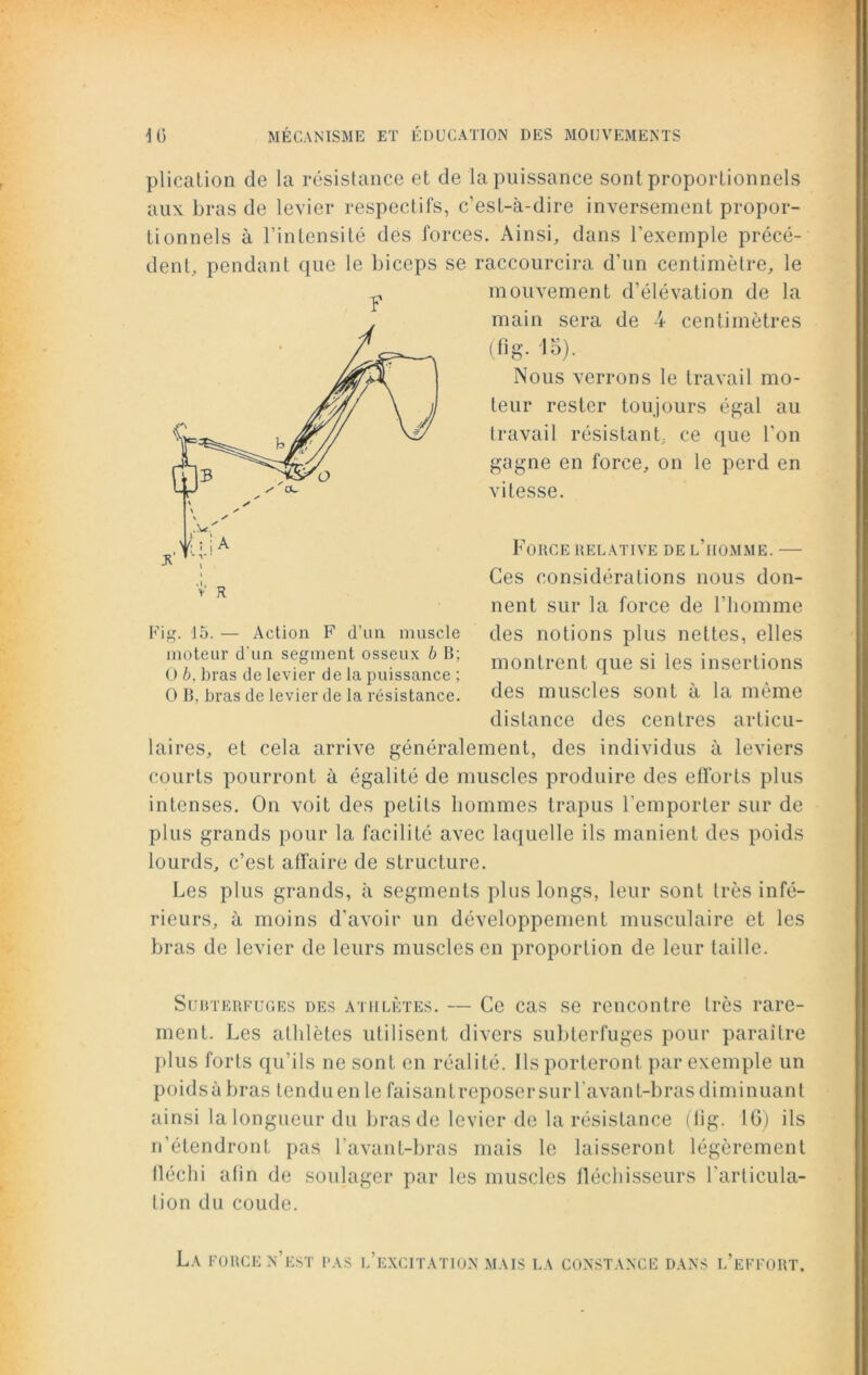 plication de la résistance et de la puissance sont proportionnels aux bras de levier respectifs, c’est-à-dire inversement propor- tionnels à l’intensité des forces. Ainsi, dans l’exemple précé- dent, pendant que le biceps se raccourcira d’un centimètre, le mollement d’élévation de la main sera de 4 centimètres (fig- *5). Nous verrons le travail mo- teur rester toujours égal au travail résistant, ce que l'on gagne en force, on le perd en vitesse. Force relative de l’homme. — Ces considérations nous don- nent sur la force de l’homme des notions plus nettes, elles montrent que si les insertions des muscles sont à la même distance des centres articu- laires, et cela arrive généralement, des individus à leviers courts pourront à égalité de muscles produire des efforts plus intenses. On voit des petits hommes trapus l’emporter sur de plus grands pour la facilité avec laquelle ils manient des poids lourds, c’est affaire de structure. Les plus grands, à segments plus longs, leur sont très infé- rieurs, à moins d’avoir un développement musculaire et les bras de levier de leurs muscles en proportion de leur taille. Subterfuges des athlètes. — Ce cas se rencontre très rare- ment. Les athlètes utilisent divers subterfuges pour paraître plus forts qu’ils ne sont en réalité. Ils porteront par exemple un poidsà bras tendu en le faisantreposersurl avant-bras diminuant ainsi la longueur du bras de levier de la résistance (fig. 16) ils n’étendront pas l’avant-bras mais le laisseront légèrement fléchi afin de soulager par les muscles fléchisseurs l’articula- tion du coude. y Fig. 15. — Action F d’un muscle moteur d'un segment osseux b B; O b, bras de levier de la puissance ; O B, bras de levier de la résistance. La force n’est pas l’excitation mais la constance dans l’effort.