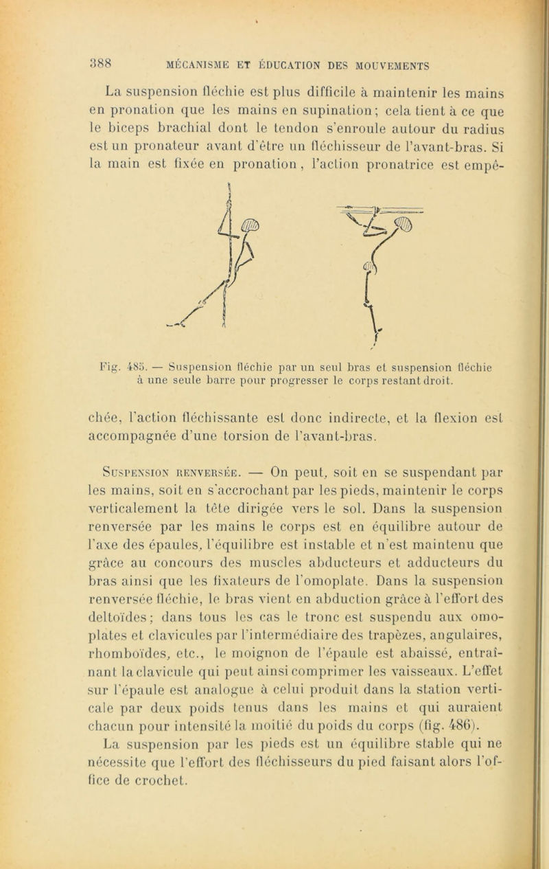 La suspension fléchie est plus difficile à maintenir les mains en pronation que les mains en supination; cela tient à ce que le biceps brachial dont le tendon s’enroule autour du radius est un pronateur avant d’être un fléchisseur de l’avant-bras. Si la main est fixée en pronation, l’action pronatrice est empê- Fig. 485. — Suspension fléchie par un seul bras et suspension fléchie à une seule barre pour progresser le corps restant droit. chée, l’action fléchissante est donc indirecte, et la flexion est accompagnée d’une torsion de l’avant-bras. Suspension renversée. — On peut, soit en se suspendant par les mains, soit en s'accrochant par les pieds, maintenir le corps verticalement la tête dirigée vers le sol. Dans la suspension renversée par les mains le corps est en équilibre autour de l’axe des épaules, l'équilibre est instable et n’est maintenu que grâce au concours des muscles abducteurs et adducteurs du bras ainsi que les fixateurs de l’omoplate. Dans la suspension renversée fléchie, le bras vient en abduction grâce à l’eflortdes deltoïdes; dans tous les cas le tronc est suspendu aux omo- plates et clavicules par l’intermédiaire des trapèzes, angulaires, rhomboïdes, etc., le moignon de l’épaule est abaissé, entraî- nant laclavicule qui peut ainsi comprimer les vaisseaux. L’effet sur l’épaule est analogue à celui produit dans la station verti- cale par deux poids tenus dans les mains et qui auraient chacun pour intensité la moitié du poids du corps (fig. 486). La suspension par les pieds est un équilibre stable qui ne nécessite que l’effort des fléchisseurs du pied faisant alors l'of- fice de crochet.