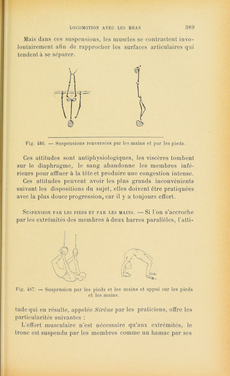 Mais dans ces suspensions, les muscles se contractent invo- lontairement afin de rapprocher les surfaces articulaires qui tendent à se séparer. Fig. 486. — Suspensions renversées par les mains et par les pieds. Ces attitudes sont antiphysiologiques, les viscères tombent sur le diaphragme, le sang abandonne les membres infé- rieurs pour affluer à la tête et produire une congestion intense. Ces attitudes peuvent avoir les plus grands inconvénients suivant les dispositions du sujet, elles doivent être pratiquées avec la plus douce progression, car il y a toujours effort. Suspension par les pieds et par les mains. —Si l'on s’accroche parles extrémités des membres à deux barres parallèles, l’atti- Fig. 487. — Suspension par les pieds et les mains et appui sur les pieds et les mains. tude qui en résulte, appelée Sirène par les praticiens, offre les particularités suivantes : L'effort musculaire n’est nécessaire qu’aux extrémités, le tronc est suspendu par les membres comme un hamac par ses