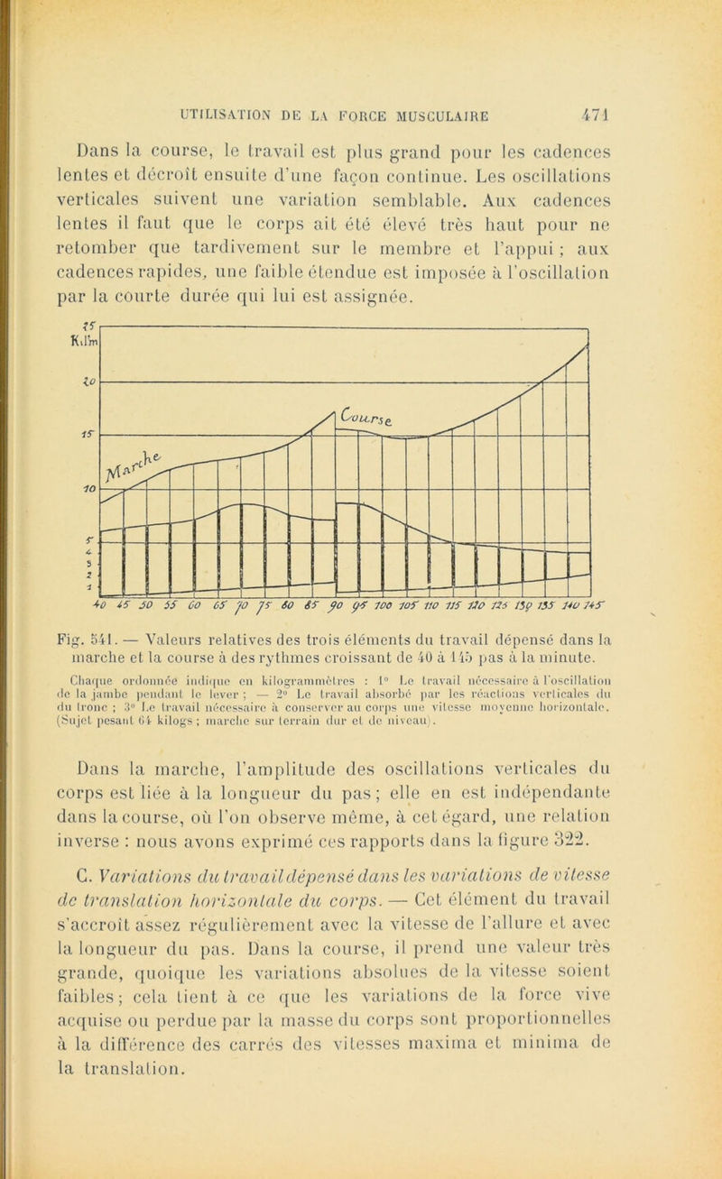 Dans la course, le travail est plus grand pour les cadences lentes et décroît ensuite d’une façon continue. Les oscillations verticales suivent une variation semblable. Aux: cadences lentes il faut que le corps ait été élevé très haut pour ne retomber que tardivement sur le membre et l’appui ; aux cadences rapides, une faible étendue est imposée à l’oscillation par la courte durée qui lui est assignée. Fig. 541. — Valeurs relatives des trois éléments du travail dépensé dans la marche et la course à des rythmes croissant de 40 à 145 pas à la minute. Chaque ordonnée indique en kilogrammèlres : 1° Le travail nécessaire à l'oscillation de la jambe pendant le lever; — 2° Le travail absorbé par les réactions verticales du du tronc ; 3° Le travail nécessaire à conserver au corps une vitesse moyenne horizontale. (Sujet pesant 64 kilogs ; marche sur terrain dur et de niveau). Dans la marche, l’amplitude des oscillations verticales du corps est liée à la longueur du pas; elle eu est indépendante dans la course, où l’on observe même, à cet égard, une relation inverse : nous avons exprimé ces rapports dans la figure 32:2. C. Variations du travail dépensé dans les variations de vitesse de translation horizontale du corps. — Cet élément du travail s’accroît assez régulièrement avec la vitesse de l’allure et avec la longueur du pas. Dans la course, il prend une valeur très grande, quoique les variations absolues de la vitesse soient faibles; cela tient à ce que les variations de la force vive acquise ou perdue par la masse du corps sont proportionnelles à la différence des carrés des vitesses maxima et minima de la translation.