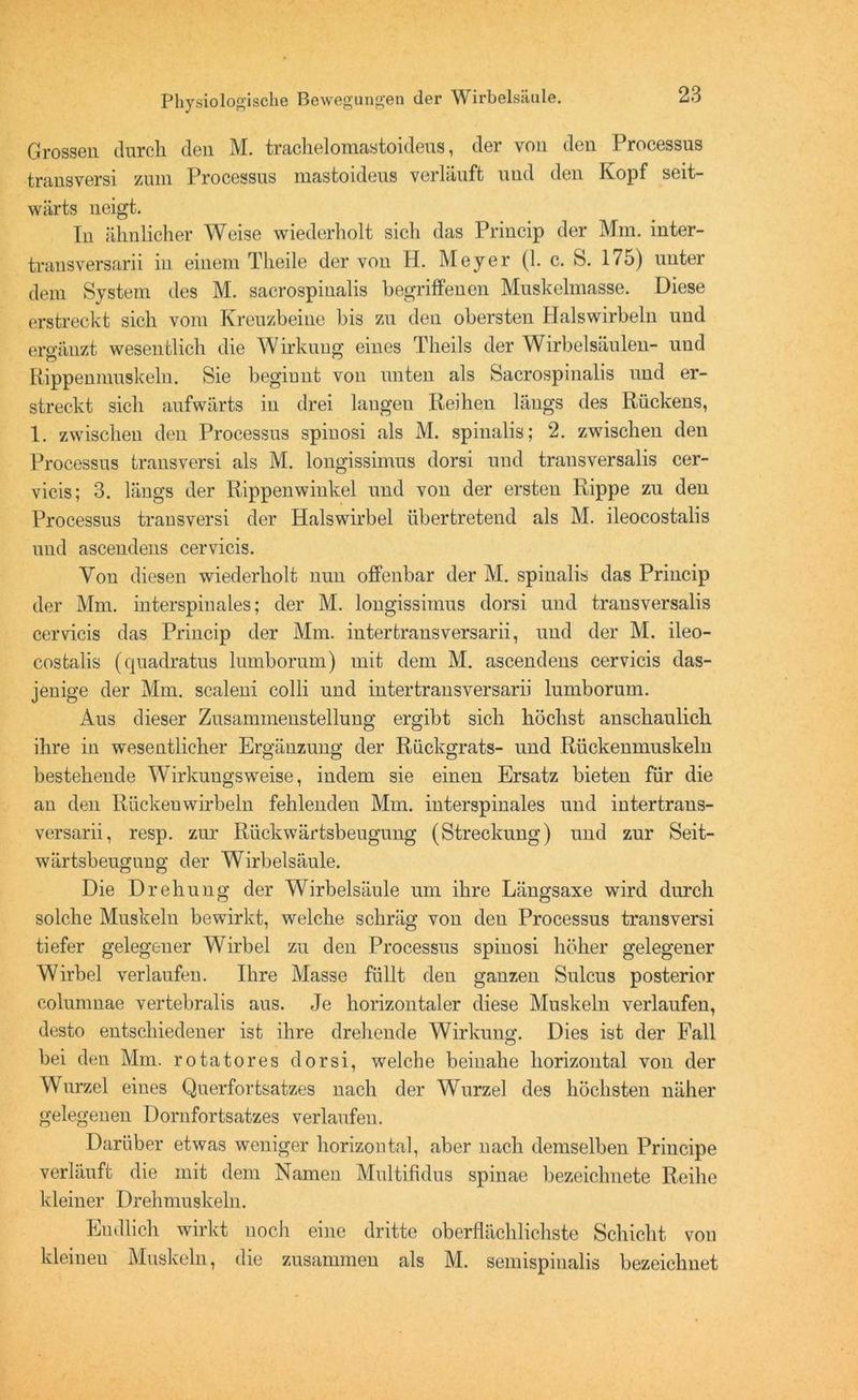 Grossen durch den M. trachelomastoideus, der von den Processus transversi zum Processus mastoideus verläuft und den Kopf seit- wärts neigt. In ähnlicher Weise wiederholt sich das Princip der Mm. inter- transversarii in einem Tlieile der von H. Meyer (1. c. S. 175) unter dem System des M. sacrospinalis begriffenen Muskelmasse. Diese erstreckt sich vom Kreuzbeine bis zu den obersten Halswirbeln und ergänzt wesentlich die Wirkung eines Theils der Wirbelsäulen- und Rippenmuskeln. Sie beginnt von unten als Sacrospinalis und er- streckt sich aufwärts in drei laugen Reihen längs des Rückens, 1. zwischen den Processus spinosi als M. spinalis; 2. zwischen den Processus transversi als M. longissimus dorsi und transversalis cer- vicis; 3. längs der Rippenwinkel und von der ersten Rippe zu den Processus transversi der Halswirbel übertretend als M. ileocostalis und ascendens cervicis. Von diesen wiederholt nun offenbar der M. spinalis das Princip der Mm. interspinales; der M. longissimus dorsi und transversalis cervicis das Princip der Mm. intertransversarii, und der M. ileo- costalis (quadratus lumborum) mit dem M. ascendens cervicis das- jenige der Mm. scaleni colli und intertransversarii lumborum. Aus dieser Zusammenstellung ergibt sich höchst anschaulich ihre iu wesentlicher Ergänzung der Rückgrats- und Rückenmuskeln bestehende Wirkungsweise, indem sie einen Ersatz bieten für die an den Rücken wirbeln fehlenden Mm. interspinales und intertrans- versarii, resp. zur Rückwärtsbeugung (Streckung) und zur Seit- wärtsbeugung der Wirbelsäule. Die Drehung der Wirbelsäule um ihre Längsaxe wird durch solche Muskeln bewirkt, welche schräg von den Processus transversi tiefer gelegener Wirbel zu den Processus spinosi höher gelegener Wirbel verlaufen. Ihre Masse füllt den ganzen Sulcus posterior colunmae vertebralis aus. Je horizontaler diese Muskeln verlaufen, desto entschiedener ist ihre drehende Wirkung. Dies ist der Fall bei den Mm. rotatores dorsi, welche beinahe horizontal von der Wurzel eines Querfortsatzes nach der Wurzel des höchsten näher gelegenen Dornfortsatzes verlaufen. Darüber etwas weniger horizontal, aber nach demselben Principe verläuft die mit dem Namen Multifidus spinae bezeichnete Reihe kleiner Drehmuskeln. Endlich wirkt noch eine dritte oberflächlichste Schicht von kleinen Muskeln, die zusammen als M. semispinalis bezeichnet