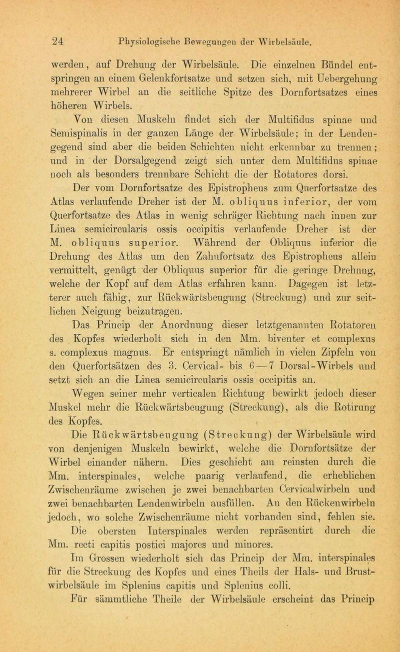 werden, auf Drehung der Wirbelsäule. Die einzelnen Bündel ent- springen an eiuem Gelenkfortsatze und setzen sich, mit Uebergehung mehrerer Wirbel an die seitliche Spitze des Dornfortsatzes eines höheren Wirbels. Von diesen Muskeln findet sich der Multifidus spinae und Semispinalis in der ganzen Länge der Wirbelsäule; in der Lenden- gegend sind aber die beiden Schichten nicht erkennbar zu trennen; und in der Dorsalgegend zeigt sich unter dem Multifidus spinae noch als besonders trennbare Schicht die der Rotatores dorsi. Der vom Dornfortsatze des Epistropheus zum Querfortsatze des Atlas verlaufende Dreher ist der M. obliquus inferior, der vom Querfortsatze des Atlas in wenig schräger Richtung nach innen zur Linea semicircularis ossis occipitis verlaufende Dreher ist der M. obliquus superior. Während der Obliquus inferior die Drehung des Atlas um den Zahnfortsatz des Epistropheus allein vermittelt, genügt der Obliquus superior für die geringe Drehung, welche der Kopf auf dem Atlas erfahren kann. Dagegen ist letz- terer auch fähig, zur Rückwärtsbeugung (Streckung) und zur seit- lichen Neigung beizutragen. Das Princip der Anordnung dieser letztgenannten Rotatoren des Kopfes wiederholt sich in den Mm. biventer et complexus s. complexus magnus. Er entspringt nämlich in vielen Zipfeln von den Querfortsätzen des 3. Cervical- bis 6 — 7 Dorsal-Wirbels und setzt sich an die Linea semicircularis ossis occipitis an. Wegen seiner mehr verticalen Richtuug bewirkt jedoch dieser Muskel mehr die Rückwärtsbeugung (Streckung), als die Rotirung des Kopfes. Die Rückwärtsbeugung (Streckung) der Wirbelsäule wird von denjenigen Muskeln bewirkt, welche die Dornfortsätze der Wirbel einander nähern. Dies geschieht am reinsten durch die Mm. interspinales, welche paarig verlaufend, die erheblichen Zwischenräume zwischen je zwei benachbarten Cervicalwirbeln und zwei benachbarten Lendenwirbeln ausfüllen. Au den Rückenwirbeln jedoch, wo solche Zwischenräume nicht vorhanden sind, fehlen sie. Die obersten Interspinales werden repräsentirt durch die Mm. recti capitis postici majores und miuores. Im Grossen wiederholt sich das Princip der Mm. interspinales für die Streckung des Kopfes und eines Theils der Hals- und Brust- wirbelsäule im Splenius capitis und Splenius colli. Für sämmtliche Theile der Wirbelsäule erscheint das Princip