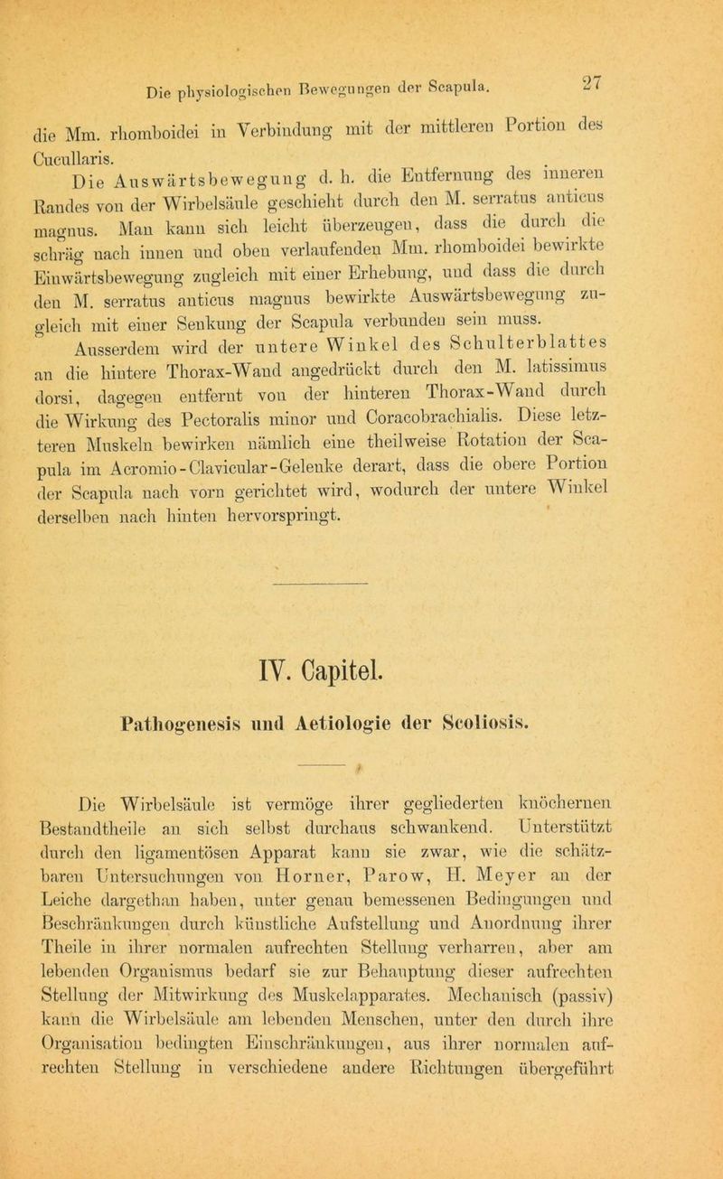 die Mm. rliomboidei in Verbindung mit der mittleren Portion des Cucullaris. Die Auswärtsbewegung d. h. die Entfernung des inneren Randes von der Wirbelsäule geschieht durch den M. serratus antieus magnus. Man kann sich leicht überzeugen, dass die durch die schräg nach innen und oben verlaufenden Mm. rliomboidei bewirkte Einwärtsbewegung zugleich mit einer Erhebung, und dass die (huch den M. serratus antieus magnus bewirkte Auswärtsbewegung zu- gleich mit einer Senkung der Scapula verbunden sein muss. Ausserdem wird der untere Winkel des Schultei blattes an die hintere Thorax-Wand angedrückt durch den M. latissimus dorsi, dagegen entfernt von der hinteren Thorax-Wand duicli die Wirkung des Pectoralis minor und Coracobrachialis. Diese letz- teren Muskeln bewirken nämlich eine theil weise Rotation der Sca- pula im Acromio-Clavicular-Gelenke derart, dass die obere Portion der Scapula nach vorn gerichtet wird, wodurch der untere Winkel derselben nach hinten hervorspringt. IY. Capitel. Pathogenesis und Aetiologie der Scoliosis. Die Wirbelsäule isfc vermöge ihrer gegliederten knöchernen Bestandteile an sich selbst durchaus schwankend. Unterstützt durch den ligamentösen Apparat kann sie zwar, wie die schätz- baren Untersuchungen von Horner, Parow, H. Meyer an der Leiche dargethan haben, unter genau bemessenen Bedingungen und Beschränkungen durch künstliche Aufstellung und Anordnung ihrer Theile in ihrer normalen aufrechten Stellung verharren, aber am lebenden Organismus bedarf sie zur Behauptung dieser aufrechten Stellung der Mitwirkung des Muskelapparates. Mechanisch (passiv) kann die Wirbelsäule am lebenden Menschen, unter den durch ihre Organisation bedingten Einschränkungen, aus ihrer normalen auf- rechten Stellung in verschiedene andere Richtungen übergeführt 0 cj o