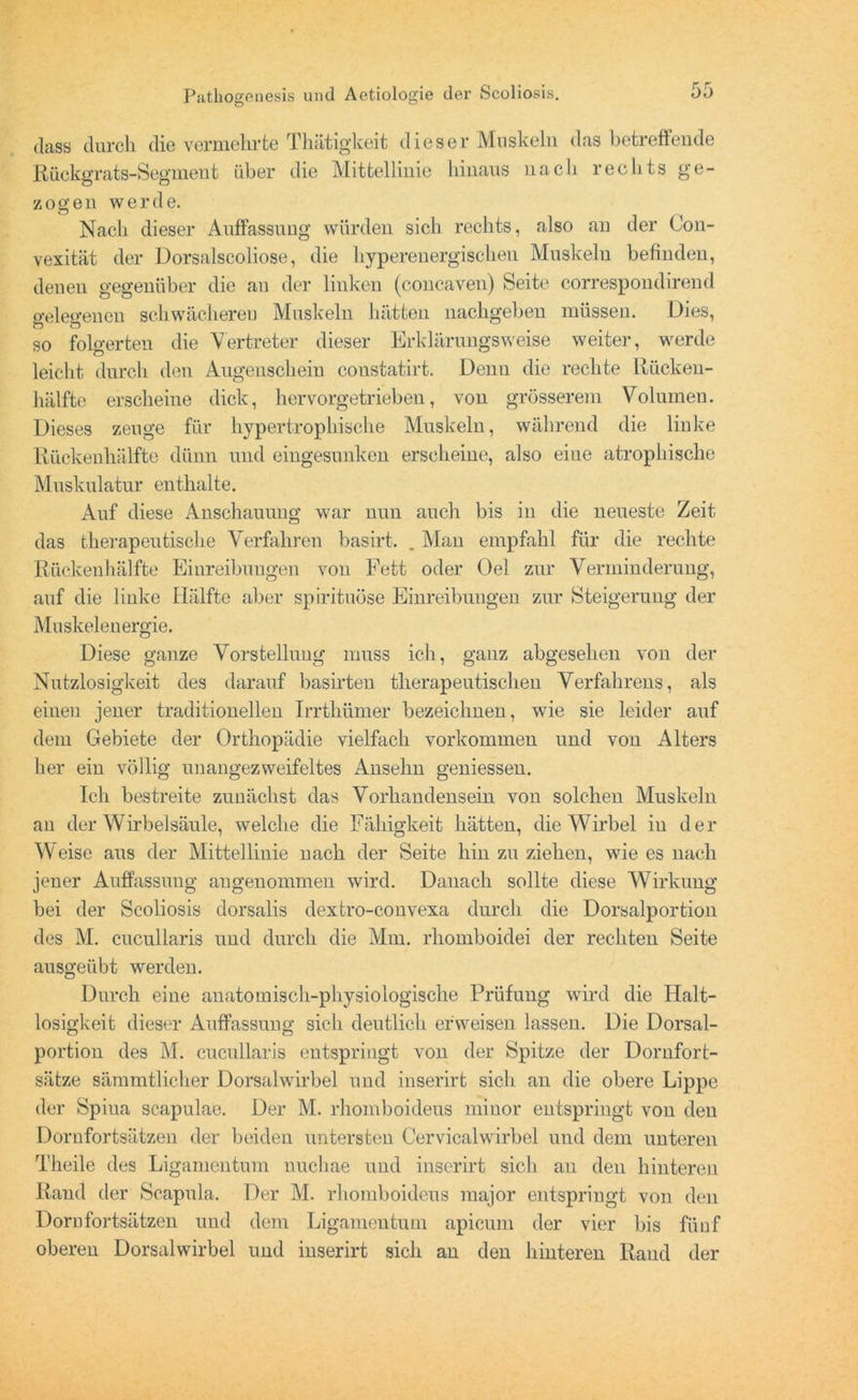 dass durch die vermehrte Thätigkeit dieser Muskeln das betreffende Rückgrats-Segment über die Mittellinie hinaus nach rechts ge- zogen werde. Nach dieser Auffassung würden sich rechts, also an der Con- vexität der Dorsalscoliose, die hyperenergischen Muskeln befinden, denen gegenüber die au der linken (concaven) Seite correspondirend gelegenen schwächeren Muskeln hätten nachgeben müssen. Dies, so folgerten die Vertreter dieser Erklärungsweise weiter, werde leicht durch den Augenschein coustatirt. Denn die rechte Rücken- hälfte erscheine dick, hervorgetrieben, von grösserem Volumen. Dieses zeuge für hypertrophische Muskeln, während die linke Rückenhälfte dünn und eingesunken erscheine, also eine atrophische Muskulatur enthalte. Auf diese Anschauung war nun auch bis in die neueste Zeit das therapeutische Verfahren basirt. . Man empfahl für die rechte Rückenhälfte Einreibungen von Fett oder Oel zur Verminderung, auf die linke Hälfte aber spirituöse Einreibungen zur Steigerung der Muskelenergie. Diese ganze Vorstellung muss ich, ganz abgesehen von der Nutzlosigkeit des darauf basirteu therapeutischen Verfahrens, als einen jener traditionellen Irrthümer bezeichnen, wie sie leider auf dem Gebiete der Orthopädie vielfach Vorkommen und von Alters her ein völlig unangezweifeltes Ansehn geniessen. Ich bestreite zunächst das Vorhandensein von solchen Muskeln an der Wirbelsäule, welche die Fähigkeit hätten, die Wirbel in der Weise aus der Mittellinie nach der Seite hin zu ziehen, wie es nach jener Auffassung angenommen wird. Danach sollte diese Wirkung bei der Scoliosis dorsalis dexfcro-convexa durch die Dorsalportion des M. cucullaris und durch die Mm. rhomboidei der rechten Seite ausgeübt werden. Durch eine anatomisch-physiologische Prüfung wird die Halt- losigkeit dieser Auffassung sich deutlich erweisen lassen. Die Dorsal- portion des M. cucullaris entspringt von der Spitze der Dornfort- sätze sämmtlicher Dorsalwirbel und inserirt sich an die obere Lippe der Spina scapulae. Der M. rhomboideus minor entspringt von den Dornfortsätzen der beiden untersten Cervicalwirbel und dem unteren Theile des Ligamentum nuchae und inserirt sich an den hinteren Rand der Scapula. Der M. rhomboideus major entspringt von den Dornfortsätzen und dem Ligamentum apicum der vier bis fünf oberen Dorsalwirbel und inserirt sich an den hinteren Raud der
