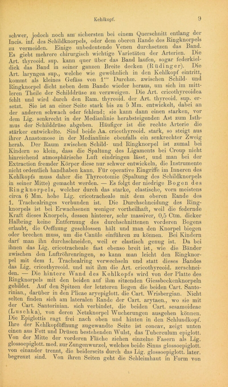 schwer, jedoch noch am sichersten bei einem Querschnitt entlang dci Incis. inf. des Schildknorpels, oder dem oberen Rande des Ringknorpels zu vermeiden. Einige unbedeutende Venen durchsetzen das Band. Es giebt mehrere chirurgisch wichtige Varietäten der Arterien. Die Art. thyreoid. sup. kann quer über das Band laufen, sogar federkiel- dick das Band in seiner ganzen Breite decken (Rüdinger). Die Art. laryngea sup., welche wie gewöhnlich in den Kehlkopf eintritt, kommt als kleines Gefäss von 1' Durchm. zwischen Schild- und Ringknorpel dicht neben dem Bande wieder heraus, um sich im mitt- leren Theile der Schilddrüse zu verzweigen. Die Art. crieothyreoidea fehlt und wird durch den Ram. thyreoid. der Art. thyreoid. sup.. er- setzt. Sie ist an einer Seite stark bis zu 5 Mm. entwickelt, dabei an der anderen schwach oder fehlend; sie kann dann einen starken, vor dem Lig. senkrecht in der Medianlinie herabsteigenden Ast zum Isth- mus der Schilddrüse abgeben. Häufiger ist die rechte Arterie die stärker entwickelte. Sind beide Aa. cricothyreoid. stark, so steigt aus ihrer Anastomose in der Medianlinie ebenfalls ein senkrechter Zweig herab. Der Raum zwischen Schild- und Ringknorpel ist zumal bei Kindern so klein, dass die Spaltung des Ligaments bei Croup nicht hinreichend atmosphärische Luft eindringen lässt, und man bei der Extraction fremder Körper diese nur schwer entwickeln, die Instrumente nicht ordentlich handhaben kann. Für operative Eingriffe im Inneren des Kehlkopfs muss daher die Thyreotomie (Spaltung des Schildknorpels in seiner Mitte) gemacht werden. — Es folgt der niedrige Bogen des Rin g knorpels, welcher durch das starke, elastische, vorn meistens circa 6 Mm. hohe Lig. cricotracheale mit dem oberen Rande des 1. Trachealringes verbunden ist. Die Durchschneidung des Ring- knorpels ist bei Erwachsenen weniger vortheilhaft, weil die federnde Kraft dieses Knorpels, dessen hinterer, sehr massiver, 0,5 Ctm. dicker Halbring keine Entfernung des durchschnittenen vorderen Bogens erlaubt, die Oeffnung geschlossen hält und man den Knorpel biegen oder brechen muss, um die Canüle einführen zu können. Bei Kindern darf man ihn durchschneiden, weil er elastisch genug ist. Da bei ihnen das Lig. cricotracheale fast ebenso breit ist, wie die Bänder zwischen den Luftröhrenringen, so kann man leicht den Ringknor- pel mit dem 1. Trachealring verwechseln und statt dieses Bandes das Lig. cricothyreoid. und mit ihm die Art. cricothyreoid. zerschnei- den. — Die hintere Wand des Kehlkopfs wird von der Platte des Ringknorpels mit den beiden auf ihm sitzenden Giessbeckenknorpeln gebildet. Auf den Spitzen der letzteren liegen die beiden Cart. Santo- rinian., darüber in den Plicae aryepiglott. die Cart. Wrisbergian. Nicht selten finden sich am lateralen Rande der Cart. arytaen., wo sie mit der Cart. Santorinian. sich verbindet, die beiden Cart. sesamoideae (Luschka),. von deren Netzknorpel Wucherungen ausgehen können. Die Epiglottis ragt frei nach oben und hinten in den Schlundkopf. Ihie der Kehlkopföffnung zugewandte Seite ist concav, zeigt unten einen aus Fett und Drüsen bestehenden Wulst, das Tuberculum epiglott. Von der Mitte der vorderen Fläche ziehen einzelne Fasern als Lig. glossoepiglott. med. zur Zungenwurzel, welches beide Sinus glossoepiglott. von einander trennt, die beiderseits durch das Lig. glossoepiglott. later, begrenzt sind. Von ihren Seiten geht die Schleimhaut in Form von