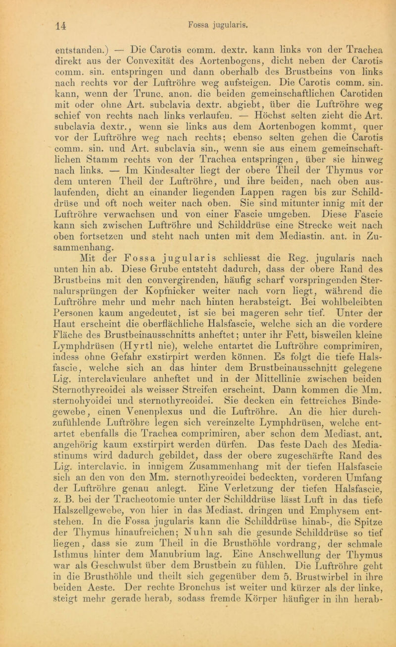 entstanden.) — Die Carotis comm. dextr. kann links von der Trachea direkt aus der Convexität des Aortenbogens, dicht neben der Carotis comm. sin. entspringen und dann oberhalb des Brustbeins von links nach rechts vor der Luftröhre weg aufsteigen. Die Carotis comm. sin. kann, wenn der Trunc. anon. die beiden gemeinschaftlichen Carotiden mit oder ohne Art. subclavia dextr. abgiebt, über die Luftröhre weg schief von rechts nach links verlaufen. ■— Höchst selten zieht die Art. subclavia dextr., wenn sie links aus dem Aortenbogen kommt, quer vor der Luftröhre weg nach rechts; ebenso selten gehen die Carotis comm. sin. und Art. subclavia sin., wenn sie aus einem gemeinschaft- lichen Stamm rechts von der Trachea entspringen, über sie hinweg nach links. — Im Kindesalter liegt der obere Theil der Thymus vor dem unteren Theil der Luftröhre, und ihre beiden, nach oben aus- laufenden, dicht an einander liegenden Lappen ragen bis zur Schild- drüse und oft noch weiter nach oben. Sie sind mitunter innig mit der Luftröhre verwachsen und von einer Fascie umgeben. Diese Fascie kann sich zwischen Luftröhre und Schilddrüse eine Strecke weit nach oben fortsetzen und steht nach unten mit dem Mediastin. ant. in Zu- sammenhang. Mit der Fossa jugularis schliesst die Keg. jugularis nach unten hin ab. Diese Grube entsteht dadurch, dass der obere Rand des Brustbeins mit den convergirenden, häufig scharf vorspringenden Ster- nalursprüngen der Kopfnicker weiter nach vorn liegt, während die Luftröhre mehr und mehr nach hinten herabsteigt. Bei wohlbeleibten Personen kaum angedeutet, ist sie bei mageren sehr tief. Unter der Haut erscheint die oberflächliche Halsfascie, welche sich an die vordere Fläche des Brustbeinausschnitts anheftet; unter ihr Fett, bisweilen kleine Lymphdrüsen (Hyrtl nie), welche entartet die Luftröhre comprimiren, indess ohne Gefahr exstirpirt werden können. Es folgt die tiefe Hals- fascie, welche sich an das hinter dem Brustbeinausschnitt gelegene Lig. interclaviculare anheftet und in der Mittellinie zwischen beiden Sternothyreoidei als weisser Streifen erscheint. Dann kommen die Mm. sternohyoidei und sternothyreoidei. Sie decken ein fettreiches Binde- gewebe, einen Venenplexus und die Luftröhre. An die hier durch- zufühlende Luftröhre legen sich vereinzelte Lymphdrüsen, welche ent- artet ebenfalls die Trachea comprimiren, aber schon dem Mediast. ant. angehörig kaum exstirpirt werden dürfen. Das feste Dach des Media- stinums wird dadurch gebildet, dass der obere zugeschärfte Rand des Lig. interelavic. in innigem Zusammenhang mit der tiefen Halsfascie sich an den von den Mm. sternothyreoidei bedeckten, vorderen Umfang der Luftröhre genau anlegt. Eine Verletzung der tiefen Plalsfascie, z. B. bei der Tracheotomie unter der Schilddrüse lässt Luft in das tiefe Halszellgewebe, von hier in das Mediast. dringen und Emphysem ent- stehen. In die Fossa jugularis kann die Schilddrüse hinab-, die Spitze der Thymus hinaufreichen; Nulin sah die gesunde Schilddrüse so tief liegen, dass sie zum Theil in die Brusthöhle vordrang, der schmale Isthmus hinter dem Manubrium lag. Eine Anschwellung der Thymus war als Geschwulst über dem Brustbein zu fühlen. Die Luftröhre geht in die Brusthöhle und theilt sich gegenüber dem 5. Brustwirbel in ihre beiden Aeste. Der rechte Bronchus ist weiter und kürzer als der linke, steigt mehr gerade herab, sodass fremde Körper häufiger in ihn herab-