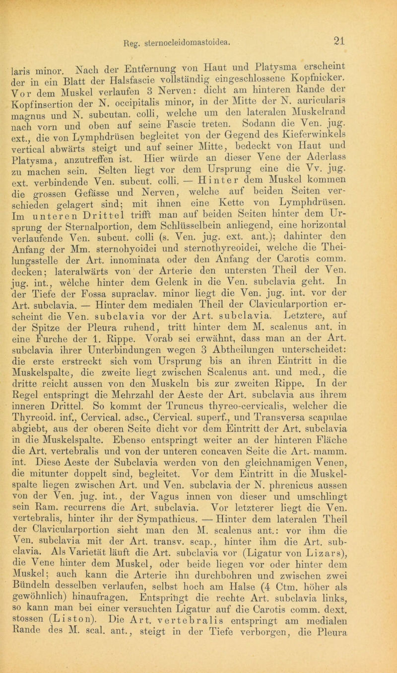 laris minor. Nach der Entfernung von Haut und Platysma erscheint der in ein Blatt der Halsfascie vollständig eingeschlossene Kopfnicker. Vor dem Muskel verlaufen 3 Nerven: dicht am hinteren Rande der Kopfinsertion der N. occipitalis minor, in der Mitte der N. auricularis magnus und N. subcutan. colli, welche um den lateralen Muskelrand nach vorn und oben auf seine hascie tieten. feodann die Ven. jug. ext., die von Lymphdrüsen begleitet von der Gegend des Kieferwinkels vertical abwärts steigt und auf seiner Mitte, bedeckt von Haut und Platysma, anzutreffen ist. Hier würde an dieser Vene der Adeilass zu machen sein. Selten liegt vor dem Ursprung eine die Vv. jug. ext. verbindende Ven. subcut. colli. — Hinter dem Muskel kommen die grossen Gefässe und Nerven, welche auf beiden Seiten ver- schieden gelagert sind; mit ihnen eine Kette von Lymphdrüsen. Im unteren Drittel trifft man auf beiden Seiten hinter dem Ur- sprung der Sternalportion, dem Schlüsselbein anliegend, eine horizontal verlaufende Ven. subcut. colli (s. Ven. jug. ext. ant.); dahinter den Anfang der Mm. sternohyoidei und sternothyreoidei, welche die Thei- lungsstelle der Art. iunominata oder den Antang der Carotis comm. decken; lateralwärts von der Arterie den untersten Theil der Ven. jug. int., welche hinter dem Gelenk in die Ven. subclavia geht. In der Tiefe der Fossa supraclav. minor liegt die Ven. jug. int. vor der Art. subclavia. — Hinter dem medialen Theil der Clavicularportion er- scheint die Ven. subclavia vor der Art. subclavia. Letztere, aut der Spitze der Pleura ruhend, tritt hinter dem M. scalenus ant. in eine Furche der 1. Rippe. Vorab sei erwähnt, dass man an der Art. subclavia ihrer Unterbindungen wegen 3 Abtheilungen unterscheidet: die erste erstreckt sich vom Ursprung bis an ihren Eintritt in die Muskelspalte, die zweite liegt zwischen Scalenus ant. und med., die dritte reicht aussen von den Muskeln bis zur zweiten Rippe. In der Regel entspringt die Mehrzahl der Aeste der Art. subclavia aus ihrem inneren Drittel. So kommt der Truncus thyreo-cervicalis, welcher die Thyreoid. inf., Cervical. adsc., Cervical. superf., und Transversa scapulae abgiebt, aus der oberen Seite dicht vor dem Eintritt der Art. subclavia in die Muskelspalte. Ebenso entspringt weiter an der hinteren Fläche die Art. vertebralis und von der unteren concaven Seite die Art. mamm. int. Diese Aeste der Subclavia werden von den gleichnamigen Venen, die mitunter doppelt sind, begleitet. Vor dem Eintritt in die Muskel- spaite liegen zwischen Art. und Ven. subclavia der N. phrenicus aussen von der Ven. jug. int., der Vagus innen von dieser und umschlingt sein Ram. recurrens die Art. subclavia. Vor letzterer liegt die Ven. vertebralis, hinter ihr der Sympathicus. — Plinter dem lateralen Theil der Clavicularportion sieht man den M. scalenus ant.: vor ihm die Ven. subclavia mit der Art. transv. scap., hinter ihm die Art. sub- clavia. Als Varietät läuft die Art. subclavia vor (Ligatur von Lizars), die Vene hinter dem Muskel, oder beide liegen vor oder hinter dem Muskel; auch kann die Arterie ihn durchbohren und zwischen zwei Bündeln, desselben verlaufen, selbst hoch am Halse (4 Ctm. höher als gewöhnlich) hinaufragen. Entsprihgt die rechte Art. subclavia links, so kann man bei einer versuchten Ligatur auf die Carotis comm. dext. stossen (Liston). Die Art. vertebralis entspringt am medialen Rande des M. scal. ant., steigt in der Tiefe verborgen, die Pleura