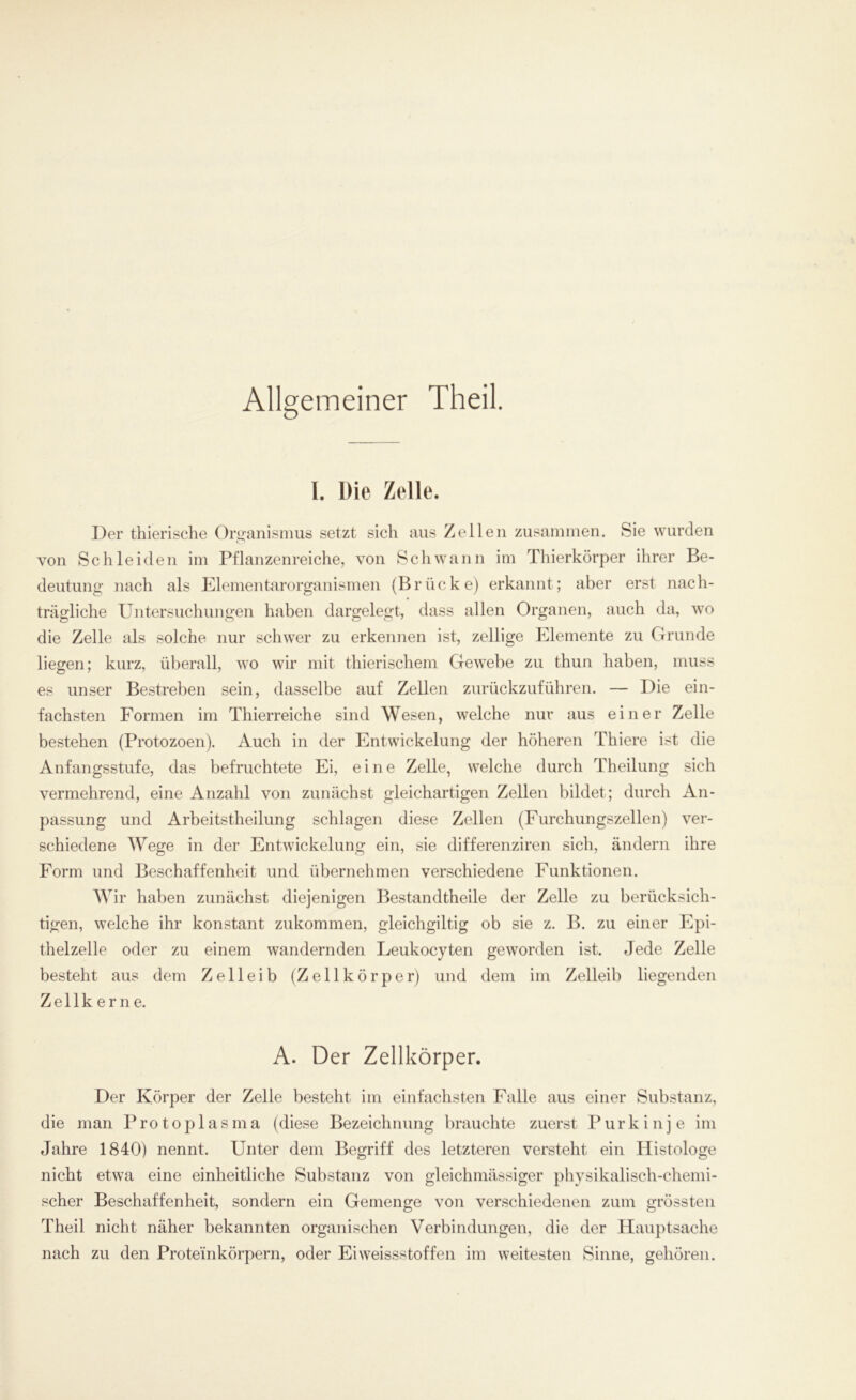 Allgemeiner Theil. I. Die Zelle. Der thierische Organismus setzt sich aus Zellen zusammen. Sie wurden von Schleiden im Pflanzenreiche, von Schwann im Thierkörper ihrer Be- deutung nach als Elementarorganismen (Brücke) erkannt; aber erst nach- trägliche Untersuchungen haben dargelegt, dass allen Organen, auch da, wo die Zelle als solche nur schwer zu erkennen ist, zellige Elemente zu Grunde liegen; kurz, überall, wo wir mit thierischem Gewebe zu thun haben, muss es unser Bestreben sein, dasselbe auf Zellen zurückzuführen. — Die ein- fachsten Formen im Thierreiche sind Wesen, welche nur aus einer Zelle bestehen (Protozoen). Auch in der Entwickelung der höheren Thiere ist die Anfangsstufe, das befruchtete Ei, eine Zelle, welche durch Theilung sich vermehrend, eine Anzahl von zunächst gleichartigen Zellen bildet; durch An- passung und Arbeitsteilung schlagen diese Zellen (Furchungszellen) ver- schiedene Wege in der Entwickelung ein, sie differenziren sich, ändern ihre Form und Beschaffenheit und übernehmen verschiedene Funktionen. Wir haben zunächst diejenigen Bestandteile der Zelle zu berücksich- tigen, welche ihr konstant zukommen, gleichgiltig ob sie z. B. zu einer Epi- thelzelle oder zu einem wandernden Leukocyten geworden ist. Jede Zelle besteht aus dem Zelleib (Zellkörper) und dem im Zelleib liegenden Zellkerne. A. Der Zellkörper. Der Körper der Zelle besteht im einfachsten Falle aus einer Substanz, die man Protoplasma (diese Bezeichnung brauchte zuerst Purkinje im Jahre 1840) nennt. Unter dem Begriff des letzteren versteht ein Histologe nicht etwa eine einheitliche Substanz von gleichmässiger physikalisch-chemi- scher Beschaffenheit, sondern ein Gemenge von verschiedenen zum grössten Theil nicht näher bekannten organischen Verbindungen, die der Hauptsache nach zu den Proteinkörpern, oder Ei weissstoffen im weitesten Sinne, gehören.