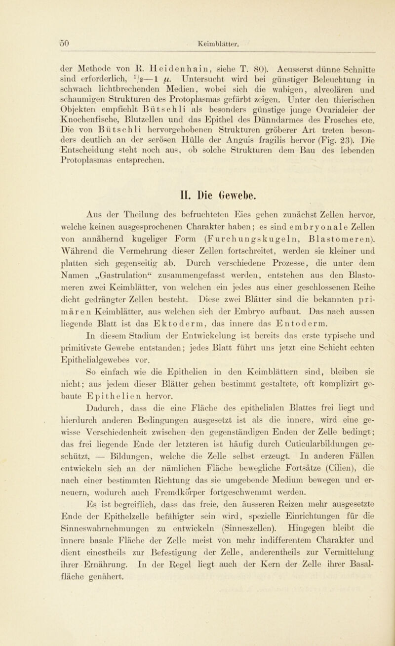 der Methode von R. Heidenhain, siehe T. 80). Aeusserst dünne Schnitte sind erforderlich, x/2—1 /u. Untersucht wird bei günstiger Beleuchtung in schwach lichtbrechenden Medien, wobei sich die wabigen, alveolären und schaumigen Strukturen des Protoplasmas gefärbt zeigen. Unter den thierischen Objekten empfiehlt Bütschli als besonders günstige junge Ovarialeier der Knochenfische, Blutzellen und das Epithel des Dünndarmes des Frosches etc. Die von Bütschli hervorgehobenen Strukturen gröberer Art treten beson- ders deutlich an der serösen Hülle der Anguis fragilis hervor (Fig. 23). Die Entscheidung steht noch aus, ob solche Strukturen dem Bau des lebenden Protoplasmas entsprechen. II. Die Gewebe. Aus der Theilung des befruchteten Eies gehen zunächst Zellen hervor, welche keinen ausgesprochenen Charakter haben; es sind embryonale Zellen von annähernd kugeliger Form (Furchungskugeln, Blast0liieren). Während die Vermehrung dieser Zellen fortschreitet, werden sie kleiner und platten sich gegenseitig ab. Durch verschiedene Prozesse, die unter dem Namen „Gastrulation“ zusammengefasst werden, entstehen aus den Blasto- meren zwei Keimblätter, von welchen ein jedes aus einer geschlossenen Reihe dicht gedrängter Zellen besteht. Diese zwei Blätter sind die bekannten pri- mären Keimblätter, aus welchen sich der Embryo aufbaut. Das nach aussen liegende Blatt ist das Ektoderm, das innere das Entoderm. In diesem Stadium der Entwickelung ist bereits das erste typische und primitivste Gewebe entstanden; jedes Blatt führt uns jetzt eine Schicht echten Epithelialgewebes vor. So einfach wie die Epithelien in den Keimblättern sind, bleiben sie nicht; aus jedem dieser Blätter gehen bestimmt gestaltete, oft komplizirt ge- baute Epithelien hervor. Dadurch, dass die eine Fläche des epithelialen Blattes frei liegt und hierdurch anderen Bedingungen ausgesetzt ist als die innere, wird eine ge- wisse Verschiedenheit zwischen den gegenständigen Enden der Zelle bedingt; das frei liegende Ende der letzteren ist häufig durch Cuticularbildungen ge- schützt, — Bildungen, welche die Zelle selbst erzeugt. In anderen Fällen entwickeln sich an der nämlichen Fläche bewegliche Fortsätze (Cilien), die nach einer bestimmten Richtung das sie umgebende Medium bewegen und er- neuern, wodurch auch Fremdkörper fortgeschwemmt werden. Es ist begreiflich, dass das freie, den äusseren Reizen mehr ausgesetzte Ende der Epithelzelle befähigter sein wird, spezielle Einrichtungen für die Sinneswahrnehmungen zu entwickeln (Sinneszellen). Hingegen bleibt die innere basale Fläche der Zelle meist von mehr indifferentem Charakter und dient einestheils zur Befestigung der Zelle, anderentheils zur Vermittelung ihrer Ernährung. In der Regel liegt auch der Kern der Zelle ihrer Basal- fläche genähert.
