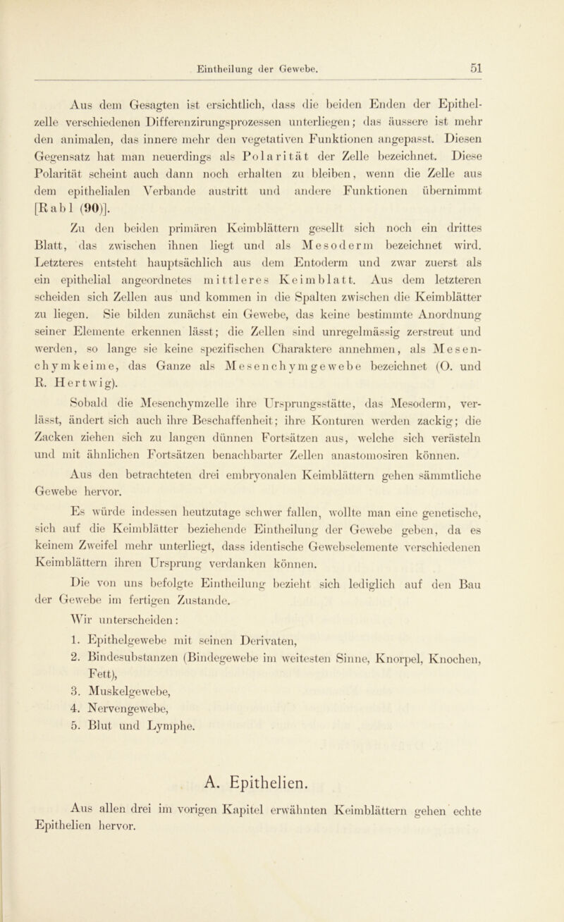 Aus dem Gesagten ist ersichtlich, dass die beiden Enden der Epithel- zelle verschiedenen Differenzirungsprozessen unterliegen; das äussere ist mehr den animalen, das innere mehr den vegetativen Funktionen angepasst. Diesen Gegensatz hat man neuerdings als Polarität der Zelle bezeichnet. Diese Polarität scheint auch dann noch erhalten zu bleiben, wenn die Zelle aus dem epithelialen Verbände austritt und andere Funktionen übernimmt [Rabl (90)]. Zu den beiden primären Keimblättern gesellt sieh noch ein drittes Blatt, das zwischen ihnen liegt und als Mesoderm bezeichnet wird. Letzteres entsteht hauptsächlich aus dem Entoderm und zwar zuerst als ein epithelial angeordnetes mittleres Ke i mb 1 a11. Aus dem letzteren scheiden sich Zellen aus und kommen in die Spalten zwischen die Keimblätter zu liegen. Sie bilden zunächst ein Gewebe, das keine bestimmte Anordnung seiner Elemente erkennen lässt; die Zellen sind unregelmässig zerstreut und werden, so lange sie keine spezifischen Charaktere annehmen, als Mesen- chym keime, das Ganze als Mesenchymgewebe bezeichnet (O. und R. Hertwig). Sobald die Mesenchym zelle ihre Ursprungsstätte, das Mesoderm, ver- lässt, ändert sich auch ihre Beschaffenheit; ihre Konturen werden zackig; die Zacken ziehen sich zu langen dünnen Fortsätzen aus, welche sich verästeln und mit ähnlichen Fortsätzen benachbarter Zellen anastomosiren können. Aus den betrachteten drei embryonalen Keimblättern gehen sämmtliche Gewebe hervor. Es würde indessen heutzutage schwer fallen, wollte man eine genetische, sich auf die Keimblätter beziehende Eintheilung der Gewebe geben, da es keinem Zweifel mehr unterliegt, dass identische Gewebselemente verschiedenen Keimblättern ihren Ursprung verdanken können. Die von uns befolgte Eintheilung bezieht sich lediglich auf den Bau der Gewebe im fertigen Zustande. Wir unterscheiden: 1. Epithelgewebe mit seinen Derivaten, 2. Bindesubstanzen (Bindegewebe im weitesten Sinne, Knorpel, Knochen, F ett), 3. Muskelgewebe, 4. Nervengewebe, 5. Blut und Lymphe. A. Epithelien. Aus allen drei im vorigen Kapitel erwähnten Keimblättern gehen echte Epithelien hervor.
