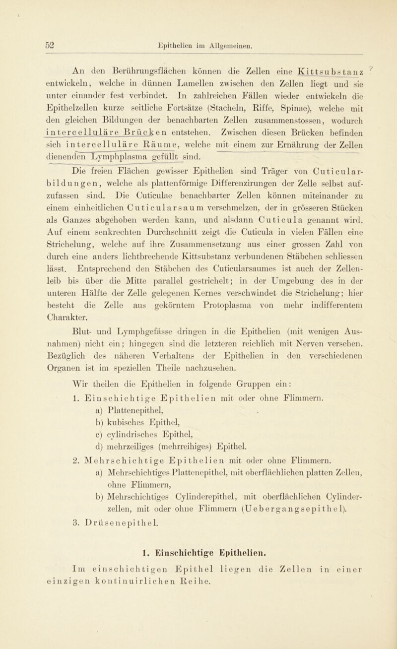 An den Berührungsflächen können die Zellen eine Kittsubstanz entwickeln, welche in dünnen Lamellen zwischen den Zellen liegt und sie unter einander fest verbindet. In zahlreichen Fällen wieder entwickeln die Epithelzellen kurze seitliche Fortsätze (Stacheln, Riffe, Spinae), welche mit den gleichen Bildungen der benachbarten Zellen zusammenstossen, wodurch i n terc e 11 u 1 äre_ Br ii_c ke n entstehen. Zwischen diesen Brücken befinden sich intercelluläre Räume, welche mit einem zur Ernährung der Zellen dienenden Lymphplasma gefüllt sind. Die freien Flächen gewisser Epithelien sind Träger von Cu ticul ar- bildungen, welche als plattenförmige Differenzirungen der Zelle selbst auf- zufassen sind. Die Cuticulae benachbarter Zellen können miteinander zu einem einheitlichen Cuticularsau m verschmelzen, der in grösseren Stücken als Ganzes abgehoben werden kann, und alsdann Cuticula genannt wird. Auf einem senkrechten Durchschnitt zeigt die Cuticula in vielen Fällen eine Strichelung, welche auf ihre Zusammensetzung aus einer grossen Zahl von durch eine anders lichtbrechende Kittsubstanz verbundenen Stäbchen sehliessen lässt. Entsprechend den Stäbchen des Cuticularsaumes ist auch der Zellen- leib bis über die Mitte parallel gestrichelt; in der Umgebung des in der unteren Hälfte der Zelle gelegenen Kernes verschwindet die Strichelung; hier besteht die Zelle aus gekörntem Protoplasma von mehr indifferentem Charakter. Blut- und Lymphgefässe dringen in die Epithelien (mit wenigen Aus- nahmen) nicht ein; hingegen sind die letzteren reichlich mit Nerven versehen. Bezüglich des näheren Verhaltens der Epithelien in den verschiedenen Organen ist im speziellen Theile nachzusehen. Wir theilen die Epithelien in folgende Gruppen ein: 1. Einschichtige Epithelien mit oder ohne Flimmern. a) Plattenepithel, b) kubisches Epithel, c) cylindrisches Epithel, d) mehrzeiliges (mehrreihiges) Epithel. 2. Mehrschichtige Epithelien mit oder ohne Flimmern. a) Mehrschichtiges Plattenepithel, mit oberflächlichen platten Zellen, ohne Flimmern, b) Mehrschichtiges Cylinderepithel, mit oberflächlichen Cylinder- zellen, mit oder ohne Flimmern (Uebergangsepithe 1). 3. Drüsenepithel. 1. Einschichtige Epithelien. Im einschichtigen Epithel liegen die Zellen in einer einzigen kontinuirlichen Reihe.