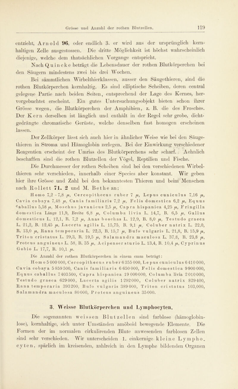 entzieht, Arnold 96, oder endlich 3. er wird aus der ursprünglich kern- haltigen Zelle ausgestossen. Die dritte Möglichkeit ist höchst wahrscheinlich diejenige, welche dem thatsächlichen Vorgänge entspricht. Nach Quincke beträgt die Lebensdauer der rothen Blutkörperchen bei den Säugern mindestens zwei bis drei Wochen. Bei sämmtlichen Wirbelthierklassen, ausser den Säugethieren, sind die rothen Blutkörperchen kernhaltig. Es sind elliptische Scheiben, deren central gelegene Partie nach beiden Seiten, entsprechend der Lage des Kernes, her- vorgebuchtet erscheint. Ein gutes Untersuchungsobjekt bieten schon ihrer Grösse wegen, die Blutkörperchen der Amphibien, z. B. die des Frosches. Der Kern derselben ist länglich und enthält in der Regel sehr grobe, dicht- gedrängte chromatische Gerüste, welche denselben fast homogen erscheinen lassen. Der Zellkörper lässt sich auch hierin ähnlicher Weise wie bei den Säuge- thieren in Stroma und Hämoglobin zerlegen. Bei der Einwirkung verschiedener Reagentien erscheint der Umriss des Blutkörperchens sehr scharf. Aehnlich beschaffen sind die rothen Blutzellen der Vögel, Reptilien und Fische. Die Durchmesser der rothen Scheiben sind bei den verschiedenen Wirbel- thieren sehr verschieden, innerhalb einer Species aber konstant. Wir geben hier ihre Grösse und Zahl bei den bekanntesten Thieren und beim Menschen nach Rollett 71. 2 und M. Bethe an: Homo 7,2 - 7,8 ^i, Ce r c o p i t h ecu s ruber 7 fA, Lepus cuniculus 7,16 4m, Cavia cobaya 7,48 ja, Canis familiaris 7,2 ja, Felis domestica 6,2 j,i, Equus caballu s 5,58 f.i, Moschus ja van icus 2,5 fi, Capra hispanica 4,25 4m, Fringilla domestica Länge 11,9, Breite 6,8 4tt, Columba livia L. 14,7, B. 6,5 fi, Gallus domesticus L. 12,1, B. 7,2 Anas boschas L. 12,9, B. 8,0 /a, Testudo graeca L. 21,2, B. 12,45 4u, Lacerta agilis L. 15,75, B. 9,1 ^i, Coluber natrix L. 22,0, B. 13,0 Eana temporaria L. 22,3, B. 15,7 (a, Bufo vulgaris L. 21,8, B. 15,9 [i, Triton cristatus L. 29,3, B. 19,5 [a, Salamandra maculosa L. 37,8, B. 23,8 Proteus angui neus L. 58, B. 35 ja, AcipensersturioL. 13,4, B. 10,4 [i, Cy prin us Gobio L; 17,7, B. 10,1 f,i. Die Anzahl der rothen Blutkörperchen in einem cnim beträgt: H o m o 5 000 000, Cercopithecus rubei'6 355 000, Lepus cuniculus 6 410 000, Cavia cobaya 5 859 500, Canis familiaris 6 650 000, Felis domestica 9 900 000, Equus caballus 7 403 500, Capra hispanica 19 000000, Columba livia 2010000, Testudo graeca 629 000, Lacerta agilis 1292 000, Coluber natrix 829 400, Ra na temporaria 393200, Bufo vulgaris 389000, Triton cristatus 103,000, Salamandra maculosa 80 000, Proteus anguineus 35 000. 3. W eisse Blutkörperchen und Lymphocyten. Die sogenannten weissen Blut zellen sind farblose (hämoglobin- lose), kernhaltige, sich unter Umständen amöboid bewegende Elemente. Die Formen der im normalen cirkulirenden Blute anwesenden farblosen Zellen sind sehr verschieden. Wir unterscheiden 1. einkernige kleine Lympho. cyten, spärlich im kreisenden, zahlreich in den Lymphe bildenden Organen