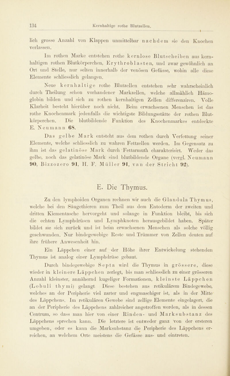 lieh grosse Anzahl von Klappen unmittelbar nachdem sie den Knochen verlassen. Im rothen Marke entstehen rothe kernlose Blutscheiben aus kern- haltigen rothen Blutkörperchen, Erythroblasten, und zwar gewöhnlich an Ort und Stelle, nur selten innerhalb der venösen Gefässe, wohin alle diese Elemente schliesslich gelangen. Neue kernhaltige rothe Blutzellen entstehen sehr wahrscheinlich durch Theilung schon vorhandener Markzellen, welche allmählich Hämo- globin bilden und sich zu rothen kernhaltigen Zellen differenziren. Volle Klarheit besteht hierüber noch nicht. Beim erwachsenen Menschen ist das rothe Knochenmark jedenfalls die wichtigste Bildungsstätte der rothen Blut- körperchen. Die blutbildende Funktion des Knochenmarkes entdeckte E. Neu mann 68. Das gelbe Mark entsteht aus dem rothen durch Verfettung seiner Elemente, welche schliesslich zu wahren Fettzellen werden. Im Gegensatz zu ihm ist das gelatinöse Mark durch Fettarmuth charakterisirt. Weder das gelbe, noch das gelatinöse Mark sind blutbildende Organe (vergl. Neumann 90, Bizzozero 91, H. F. Müller 91, van der Stricht 92). E. Die Thymus. Zu den lymphoiden Organen rechnen wir auch die Glandula Thymus, welche bei den Säugethieren zum Theil aus dem Entoderm der zweiten und dritten Kiementasche hervorgeht und solange in Funktion bleibt, bis sich die echten Lymphdrüsen und Lymphknoten herausgebildet haben. Später bildet sie sich zurück und ist beim erwachsenen Menschen als solche völlig geschwunden. Nur bindegewebige Reste und Trümmer von Zellen deuten auf ihre frühere Anwesenheit hin. Ein Läppchen einer auf der Höhe ihrer Entwickelung stehenden Thymus ist analog einer Lymphdrüse gebaut. Durch bindegewebige Septa wird die Thymus in grössere, diese wieder in kleinere Läppchen zerlegt, bis man schliesslich zu einer grösseren Anzahl kleinster, annähernd kugeliger Formationen, kleinste Läppchen (Lobuli thymi) gelangt Diese bestehen aus retikulärem Bindegewebe, welches an der Peripherie viel zarter und engmaschiger ist, als in der Mitte des Läppchens. Im retikulären Gewebe sind zellige Elemente eingelagert, die an der Peripherie des Läppchens zahlreicher angetroffen werden, als in dessen Centrum, so dass man hier von einer Rinden- und Marksubstanz des Läppchens sprechen kann. Die letztere ist entweder ganz von der ersteren umgeben, oder es kann die Marksubstanz die Peripherie des Läppchens er- reichen, an welchem Orte meistens die Gefässe aus- und eintreten.