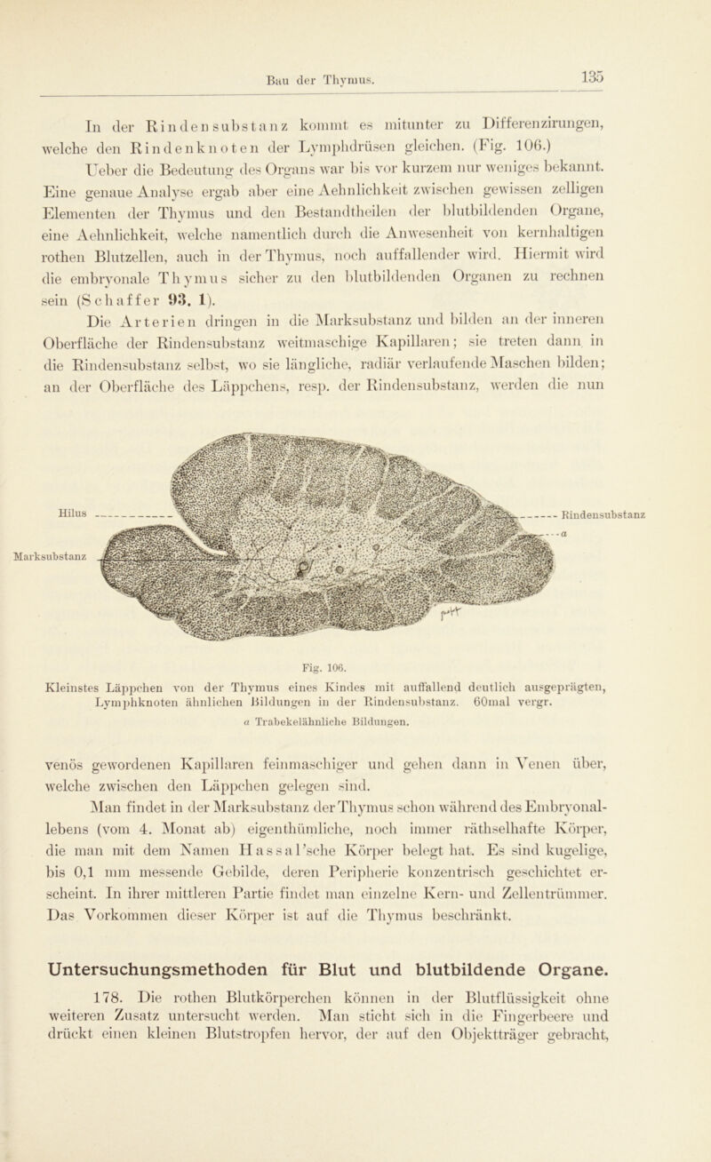 Bau der Thymus In der Rindensubstanz kommt es mitunter zu Differenzirungen, welche den Rindenknoten der Lympkdrüsen gleichen. (Fig. 106.) lieber die Bedeutung des Organs war bis vor kurzem nur weniges bekannt. Eine genaue Analyse ergab aber eine Aehnlichkeit zwischen gewissen zelligen Elementen der Thymus und den Bestandteilen der blutbildenden ()rgane, eine Aehnlichkeit, welche namentlich durch die Anwesenheit von kernhaltigen rothen Blutzellen, auch in der Thymus, noch auffallender wird. Hiermit wird die embryonale Thymus sicher zu den blutbildenden Organen zu rechnen sein (Schaffer 93. 1). Die Arterien dringen in die Marksubstanz und bilden an der inneren Oberfläche der Rindensubstanz weitmaschige Kapillaren; sie treten dann in die Rindensubstanz selbst, wo sie längliche, radiär verlaufende Maschen bilden; an der Oberfläche des Läppchens, resp. der Rin den Substanz, werden die nun Hilus Marksubstanz Fig. 106. Kleinstes Läppchen von der Thymus eines Kindes mit auffallend deutlich ausgeprägten, Lymphknoten ähnlichen Bildungen in der Bindensubstanz. GOinal vergr. a Tr ab ekelähnliche Bildungen. venös gewordenen Kapillaren feinmaschiger und gelten dann in Venen über, welche zwischen den Läppchen gelegen sind. Man findet in der Marksubstanz der Thymus schon während des Embryonal- lebens (vom 4. Monat ab) eigentümliche, noch immer rätselhafte Körper, die man mit dem Namen HassaFsche Körper belegt hat. Es sind kugelige, bis 0,1 mm messende Gebilde, deren Peripherie konzentrisch geschichtet er- scheint. In ihrer mittleren Partie findet man einzelne Kern- und Zellentrümmer. Das Vorkommen dieser Körper ist auf die Thymus beschränkt. Untersuchungsmethoden für Blut und blutbildende Organe. 178. Die rothen Blutkörperchen können in der Blutflüssigkeit ohne weiteren Zusatz untersucht werden. Man sticht sich in die Fingerbeere und O drückt einen kleinen Blutstropfen hervor, der auf den Objektträger gebracht,