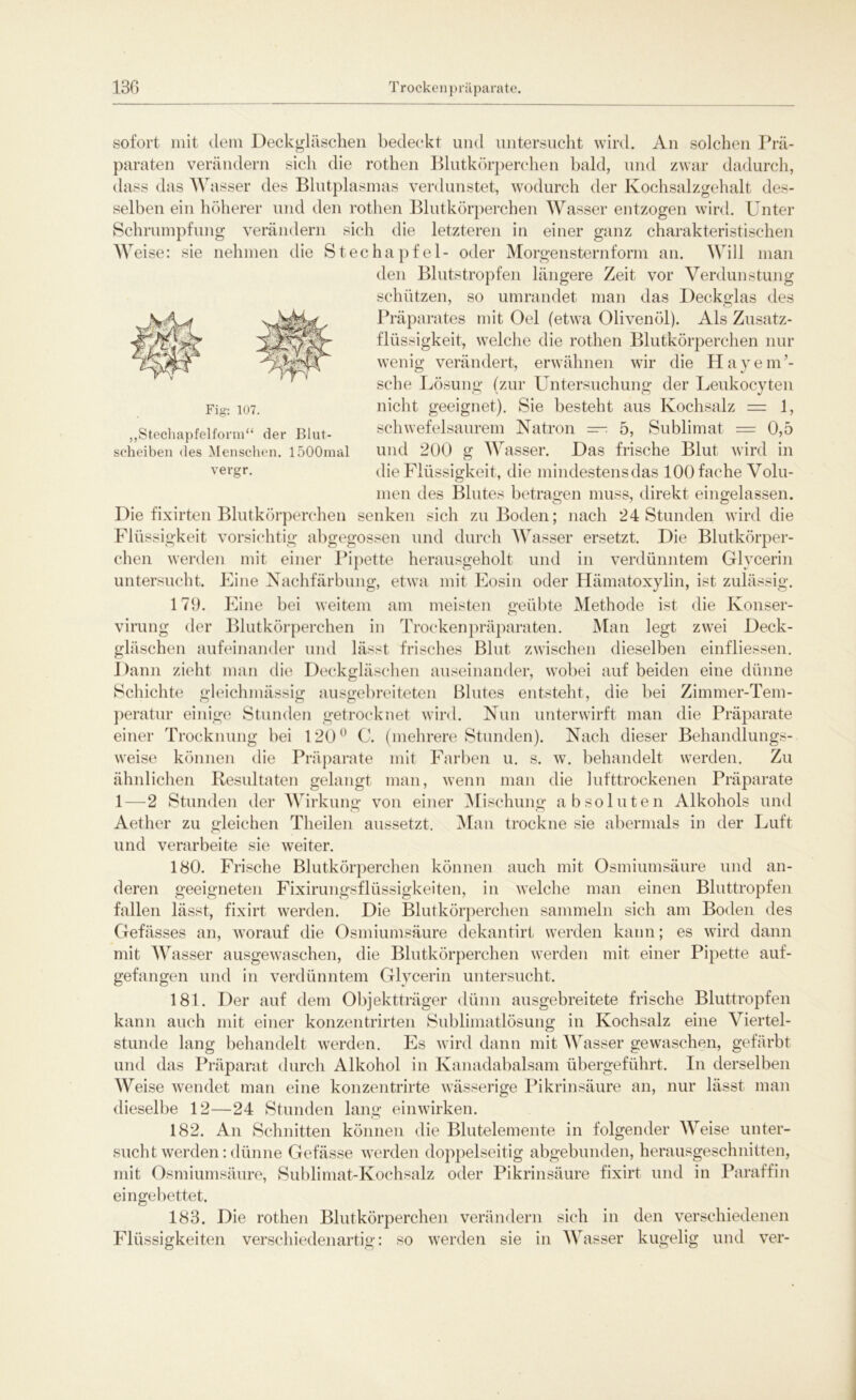 Fig: 107. „Stechapfelform“ der Blut- scheiben des Menschen. löOOmal vergr. sofort mit dem Deckgläschen bedeckt und untersucht wird. An solchen Prä- paraten verändern sich die rothen Blutkörperchen bald, und zwar dadurch, dass das W asser des Blutplasmas verdunstet, wodurch der Kochsalzgehalt des- selben ein höherer und den rothen Blutkörperchen Wasser entzogen wird. Unter Schrumpfung verändern sich die letzteren in einer ganz charakteristischen Weise: sie nehmen die Stechapfel- oder Morgensternform an. Will man den Blutstropfen längere Zeit vor Verdunstung schützen, so umrandet man das Deckglas des Präparates mit Oel (etwa Olivenöl). Als Zusatz- flüssigkeit, welche die rothen Blutkörperchen nur wenig verändert, erwähnen wir die Hayem’- sche Lösung (zur Untersuchung der Leukocyten nicht geeignet). Sie besteht aus Kochsalz = 1, schwefelsaurem Natron — 5, Sublimat — 0,5 und 200 g Wasser. Das frische Blut wird in die Flüssigkeit, die mindestens das 100 fache Volu- men des Blutes betragen muss, direkt eingelassen. Die fixirten Blutkörperchen senken sich zu Boden; nach 24 Stunden wird die Flüssigkeit vorsichtig abgegossen und durch Wasser ersetzt. Die Blutkörper- chen werden mit einer Pipette herausgeholt und in verdünntem Glycerin untersucht. Eine Nachfärbung, etwa mit Eosin oder Hämatoxylin, ist zulässig. 17(J. Eine bei weitem am meisten geübte Methode ist die Ivonser- virung der Blutkörperchen in Trockenpräparaten. Man legt zwei Deck- gläschen aufeinander und lässt frisches Blut zwischen dieselben einfliessen. Dann zieht man die Deckgläschen auseinander, wobei auf beiden eine dünne Schichte gleichmässig ausgebreiteten Blutes entsteht, die bei Zimmer-Tem- peratur einige Stunden getrocknet wird. Nun unterwirft man die Präparate einer Trocknung bei 120° C. (mehrere Stunden). Nach dieser Behandlungs- weise können die Präparate mit Farben u. s. w. behandelt werden. Zu ähnlichen Resultaten gelangt man, wenn man die lufttrockenen Präparate 1—2 Stunden der Wirkung; von einer Mischung absoluten Alkohols und Aether zu gleichen Theilen aussetzt. Man trockne sie abermals in der Luft und verarbeite sie weiter. 180. Frische Blutkörperchen können auch mit Osmiumsäure und an- deren geeigneten Fixirungsflüssigkeiten, in welche man einen Bluttropfen fallen lässt, fixirt werden. Die Blutkörperchen sammeln sich am Boden des Gefässes an, worauf die Osmiumsäure dekantirt werden kann; es wird dann mit Wasser ausgewaschen, die Blutkörperchen werden mit einer Pipette auf- gefangen und in verdünntem Glycerin untersucht. 181. Der auf dem Objektträger dünn ausgebreitete frische Bluttropfen kann auch mit einer konzentrirten Sublimatlösung in Kochsalz eine Viertel- stunde lang behandelt werden. Es wird dann mit Wasser gewaschen, gefärbt und das Präparat durch Alkohol in Kanadabalsam übergeführt. In derselben Weise wendet man eine konzentrirte wässerige Pikrinsäure an, nur lässt man dieselbe 12—24 Stunden lang einwirken. 182. An Schnitten können die Blutelemente in folgender Weise unter- sucht werden: dünne Gefässe werden doppelseitig abgebunden, herausgeschnitten, mit Osmiumsäure, Sublimat-Kochsalz oder Pikrinsäure fixirt und in Paraffin eingebettet. 183. Die rothen Blutkörperchen verändern sich in den verschiedenen Flüssigkeiten verschiedenartig: so werden sie in Wasser kugelig und ver-