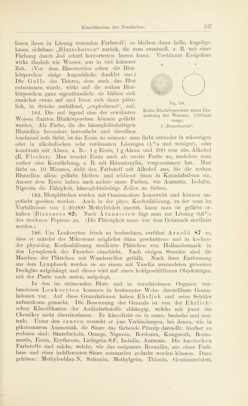 v%-, Fig. 108. Rothe Blutkörperchen unter Ein- wirkung des Wassers. 1500mal vergr. b „Blutschatten“. lieren ihren in Lösung tretenden Farbstoff; es bleiben dann helle, kugelige, kaum sichtbare „Blutschatten“ zurück, die man eventuell, z. B. mit einer Färbung durch Jod scharf hervortreten lassen kann. Verdünnte Essigsäure wirkt ähnlich wie Wasser, nur in viel kürzerer a b Zeit. (Vor dem Blasswerden sehen die Blut- körperchen einige Augenblicke dunkler aus.) Die Galle des Thieres, dem auch das Blut entnommen wurde, wirkt auf die rothen Blut- körperchen ganz eigenthümlieh: sie blähen sich zunächst etwas auf und lösen sich dann plötz- lich, in Stücke zerfallend, „explodirend“, auf. 184. Die auf irgend eine der erwähnten Weisen fixirten Blutkörperchen können gefärbt werden. Als Farbe, die die hämoglobinhaltigen Blutzellen besonders hervorhebt und dieselben leuchtend rotli färbt, ist das Eosin zu nennen: man färbt entweder in wässerigen oder in alkoholischen sehr verdünnten Lösungen (l°/o und weniger), oder kombinirt mit Alaun, z. B.: 1 g Eosin, 1 g Alaun und 200 ccm abs. Alkohol (E. Fischer). Man wendet Eosin auch als zweite Farbe an, nachdem man vorher eine Kernfärbung, z. B. mit Hämatoxylin, vorgenommen hat. Man färbt ca. 10 Minuten, zieht den Farbstoff mit Alkohol aus, bis die rothen Blutzellen allein gefärbt bleiben und schliesst dann in Kanadabalsam ein. Ausser dem Eosin haben auch andere saure Farben, wie Aurantia, Indulin, Nigrosin die Fähigkeit, hämoglobinhaltige Zellen zu färben. 185. Blutplättchen werden mit Osmiumsäure konservirt und können un- gefärbt gesehen werden. Auch in der phys. Kochsalzlösung, zu der man im Verhältnisse von 1:20,000 Methylviolett zusetzt, kann man sie gefärbt er- halten (Bizzozero 82). Nach Afanassiew fügt man zur Lösung 0,6°/o des trocknen Peptons zu. (Die Flüssigkeit muss vor dem Gebrauch sterilisirt werden.) 186. Um Leukocvten frisch zu beobachten, verfährt Arnold 87 so, dass er mittelst des Mikrotoms möglichst dünn geschnittene und in kochen- der physiolog. Kochsalzlösung sterilisirte Plättchen von Hollundermark in den Lymphsack des Frosches einschiebt. Nach einigen Stunden sind die Maschen der Plättchen mit Wanderzellen gefüllt. Nach ihrer Entfernung aus dem Lymphsack werden sie an einem mit Vaselin umrandeten grösseren Deckglas aufgehängt, und dieses wird auf einen hohlgeschliffenen Objektträger, mit der Platte nach unten, aufgelegt. In den im strömenden Blute und in verschiedenen Organen vor- O handenen Leukocyten kommen in bestimmter W eise darstellbare Granu- lationen vor. Auf diese Granulationen haben Ehrlich und seine Schüler aufmerksam gemacht. Die Benennung der Granula ist von der Ehrlich’- schen Klassifikation der Anilinfarbstoffe abhängig, welche mit jener der Chemiker nicht übereinstimmt. Er klassifizirt sie in saure, basische und neu- trale. Unter den sauren versteht er jene Verbindungen, bei denen, wie in pikrinsaurem Ammoniak, die Säure das färbende Prinzip darstellt ; hierher zu rechnen sind: Säurefuchsin, Orange, Nigrosin, Bordeaux, Kongoroth, Benzo- azurin, Eosin, Erythrosin, Lichtgrün SF, Indulin, Aurantia. Die basischen Farbstoffe sind solche, welche, wie das essigsaure Rosanilin, aus einer Farb- base und einer indifferenten Säure entstanden gedacht werden können. Dazu gehören: Methylenblau N, Safranin, Methylgrün, Thionin, Gentianaviolett,