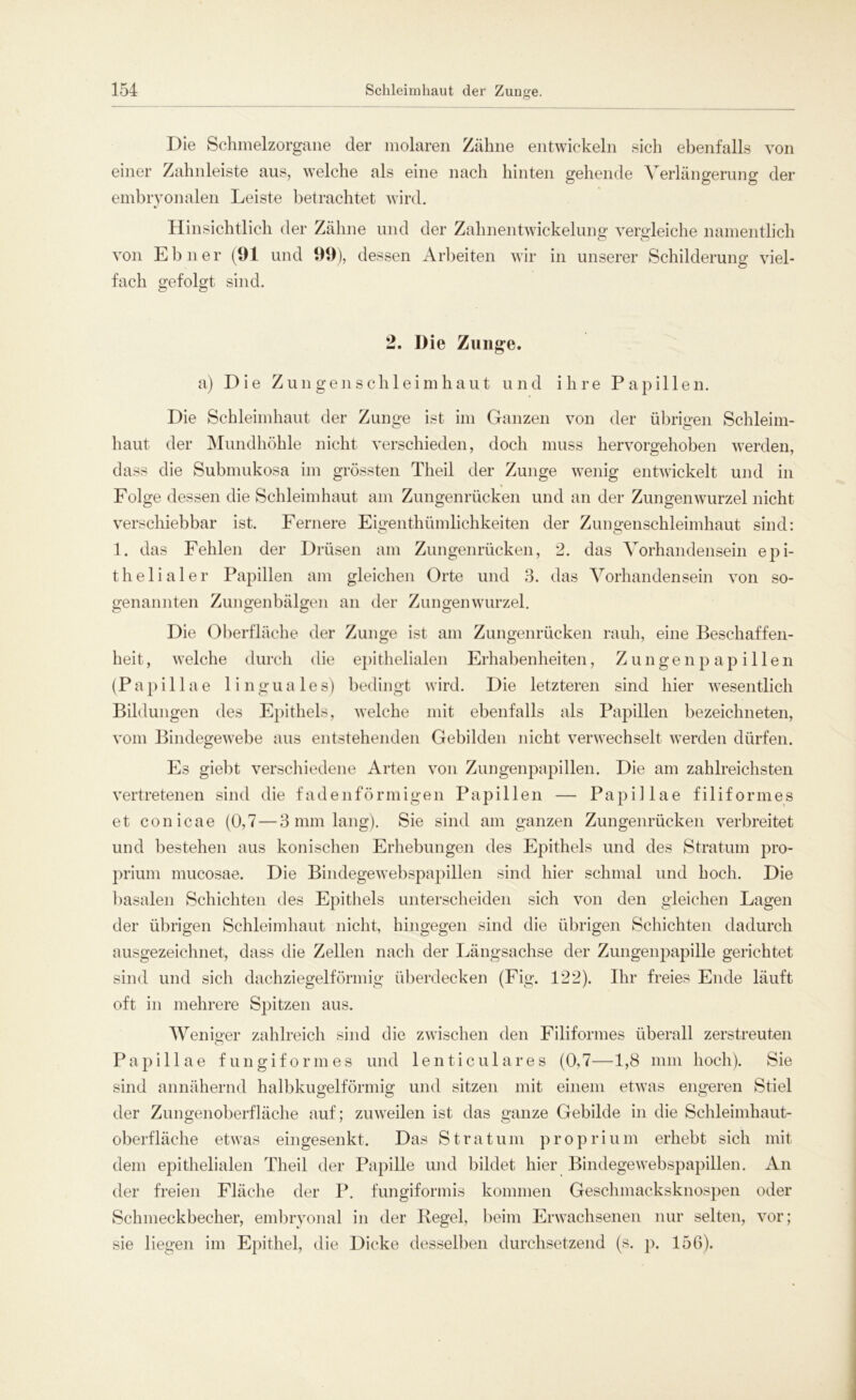 Die Schmelzorgane der molaren Zähne entwickeln sich ebenfalls von einer Zahnleiste aus, welche als eine nach hinten gehende Verlängerung der embryonalen Leiste betrachtet wird. Hinsichtlich der Zähne und der Zahnentwickelung vergleiche namentlich von Ebne r (91 und 99), dessen Arbeiten wir in unserer Schilderung viel- fach gefolgt sind. 2. Die Zunge. a) Die Zungetisch leim haut und ihre Papillen. Die Schleimhaut der Zunge ist im Ganzen von der übrigen Schleim- haut der Mundhöhle nicht verschieden, doch muss hervorgehoben werden, dass die Submukosa im grössten Theil der Zunge wenig entwickelt und in Folge dessen die Schleimhaut am Zungenrücken und an der Zungenwurzel nicht verschiebbar ist. Fernere Eigenthümlichkeiten der Zungenschleimhaut sind: 1. das Fehlen der Drüsen am Zungenrücken, 2. das Vorhandensein epi- thelialer Papillen am gleichen Orte und 3. das Vorhandensein von so- genannten Zungenbälgen an der Zungenwurzel. Die Oberfläche der Zunge ist am Zungenrücken rauh, eine Beschaffen- heit, welche durch die epithelialen Erhabenheiten, Zungenpapillen (Papillae linguales) bedingt wird. Die letzteren sind hier wesentlich Bildungen des Epithels, welche mit ebenfalls als Papillen bezeichneten, vom Bindegewebe aus entstehenden Gebilden nicht verwechselt werden dürfen. Es giebt verschiedene Arten von Zungenpapillen. Die am zahlreichsten vertretenen sind die fadenförmigen Papillen — Papillae filiformes et conicae (0,7 — 3 mm lang). Sie sind am ganzen Zungenrücken verbreitet und bestehen aus konischen Erhebungen des Epithels und des Stratum pro- prium mucosae. Die Bindegewebspapillen sind hier schmal und hoch. Die basalen Schichten des Epithels unterscheiden sich von den gleichen Lagen der übrigen Schleimhaut nicht, hingegen sind die übrigen Schichten dadurch ausgezeichnet, dass die Zellen nach der Längsachse der Zungenpapille gerichtet sind und sich dachziegelförmig überdecken (Fig. 122). Ihr freies Ende läuft oft in mehrere Spitzen aus. Weniger zahlreich sind die zwischen den Filiformes überall zerstreuten Papillae fungiformes und lenticulares (0,7—1,8 mm hoch). Sie sind annähernd halbkugelförmig und sitzen mit einem etwas engeren Stiel der Zungenoberfläche auf; zuweilen ist das ganze Gebilde in die Schleimhaut- oberfläche etwas eingesenkt. Das Stratum proprium erhebt sich mit dem epithelialen Theil der Papille und bildet hier Bindegewebspapillen. An der freien Fläche der P. fungiformis kommen Geschmacksknospen oder Schmeckbecher, embryonal in der Regel, beim Erwachsenen nur selten, vor; sie liegen im Epithel, die Dicke desselben durchsetzend (s. p. 156).