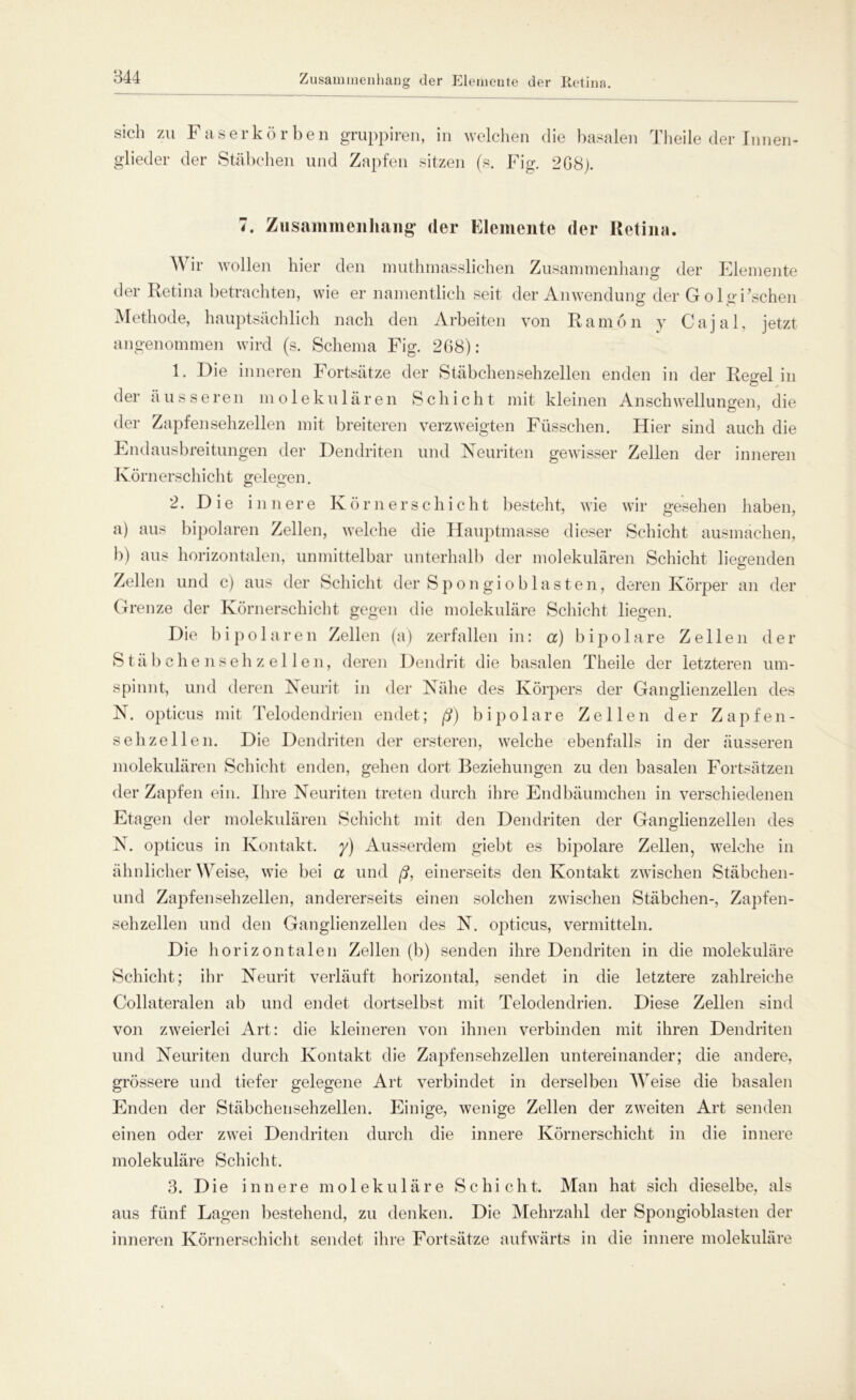 sich zu Faser körben gruppiren, in welchen die basalen Theile der Innen- glieder der Stäbchen und Zapfen sitzen (s. Fig. 268). i♦ Zusammenhang der Elemente der Retina. Wir wollen hier den muthmasslichen Zusammenhang der Elemente der Retina betrachten, wie er namentlich seit der Anwendung der Golgi’schen Methode, hauptsächlich nach den Arbeiten von Ramön y Cajal, jetzt angenommen wird (s. Schema Fig. 268): 1. Die inneren Fortsätze der Stäbchen sehzellen enden in der Regel in der äusseren molekularen Schicht mit kleinen Anschwellungen, die der Zapfensehzellen mit breiteren verzweigten Füsschen. Hier sind auch die Endausbreitungen der Dendriten und Neuriten gewisser Zellen der inneren Körnerschicht gelegen. 2. Die innere Körner Schicht besteht, wie wir gesehen haben, a) aus bipolaren Zellen, welche die Hauptmasse dieser Schicht ausmachen, b) aus horizontalen, unmittelbar unterhalb der molekularen Schicht liegenden Zellen und c) aus der Schicht der Spongi ob lasten, deren Körper an der Grenze der Körnerschicht gegen die molekulare Schicht liegen. Die bipolaren Zellen (a) zerfallen in: a) bipolare Zellen der Stäbchenseh zellen, deren Dendrit die basalen Theile der letzteren um- spinnt, und deren Neurit in der Nähe des Körpers der Ganglienzellen des N. opticus mit Telodendrien endet; ß) bipolare Zellen der Zapfen- seh zellen. Die Dendriten der ersteren, welche ebenfalls in der äusseren molekulären Schicht enden, gehen dort Beziehungen zu den basalen Fortsätzen der Zapfen ein. Ihre Neuriten treten durch ihre Endbäumchen in verschiedenen Etagen der molekulären Schicht mit den Dendriten der Ganglienzellen des N. opticus in Kontakt, y) Ausserdem giebt es bipolare Zellen, welche in ähnlicher Weise, wie bei a und ß, einerseits den Kontakt zwischen Stäbchen- und Zapfensehzellen, andererseits einen solchen zwischen Stäbchen-, Zapfen- sehzellen und den Ganglienzellen des N. opticus, vermitteln. Die horizontalen Zellen (b) senden ihre Dendriten in die molekuläre Schicht; ihr Neurit verläuft horizontal, sendet in die letztere zahlreiche Collateralen ab und endet dortselbst mit Telodendrien. Diese Zellen sind von zweierlei Art: die kleineren von ihnen verbinden mit ihren Dendriten und Neuriten durch Kontakt die Zapfen sehzellen untereinander; die andere, grössere und tiefer gelegene Art verbindet in derselben Weise die basalen Enden der Stäbchensehzellen. Einige, wenige Zellen der zweiten Art senden einen oder zwei Dendriten durch die innere Körnerschicht in die innere molekuläre Schicht. 3. Die inne re molekuläre Schicht. Man hat sich dieselbe, als aus fünf Lagen bestehend, zu denken. Die Mehrzahl der Spongioblasten der inneren Körnerschicht sendet ihre Fortsätze aufwärts in die innere molekuläre