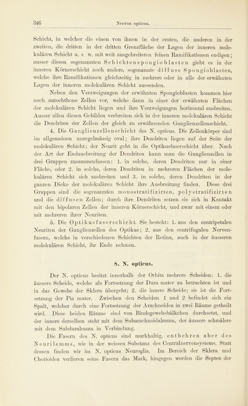 Schicht, in welcher die einen von ihnen in der ersten, die anderen in der zweiten, die dritten in der dritten Grenzfläche der Lagen der inneren mole- knlären Schicht u. s. w. mit weit ausgebreiteten feinen Ramifikationen endigen; ausser diesen sogenannten Schic htenspongiob lasten giebt es in der inneren Körnerschicht noch andere, sogenannte diffuse Spongioblasten, welche ihre Ramifikationen gleichzeitig in mehrere oder in alle der erwähnten Lagen der inneren molekularen Schicht aussenden. Neben den Verzweigungen der erwähnten Spongioblasten kommen hier noch autochthone Zellen vor, welche dann in einer der erwähnten Flächen der molekularen Schicht liegen und ihre Verzweigungen horizontal ausbreiten. Ausser allen diesen Gebilden verbreiten sich in der inneren molekulären Schicht die Dendriten der Zellen der gleich zu erwähnenden Ganglienzellenschicht. 4. Die Ganglienzellenschicht des N. opticus. Die Zellenkörper sind im allgemeinen unregelmässig oval; ihre Dendriten liegen auf der Seite der molekularen Schicht; der Neurit geht in die Optikusfaserschicht über. Nach der Art der Endausbreitung der Dendriten kann man die Ganglienzellen in drei Gruppen zusammenfassen: 1. in solche, deren Dendriten nur in einer Fläche, oder 2. in solche, deren Dendriten in mehreren Flächen der mole- kulären Schicht sich ausbreiten und 3. in solche, deren Dendriten in der ganzen Dicke der molekulären Schicht ihre Ausbreitung finden. Diese drei Gruppen sind die sogenannten monostratifizirten, poly stratifizir te n und die diffusen Zellen; durch ihre Dendriten setzen sie sich in Kontakt mit den bipolaren Zellen der inneren Körnerschicht, und zwar mit einem oder mit mehreren ihrer Neuriten. 5. Die Optikusfaserschicht. Sie besteht: 1. aus den centripetalen Neuriten der Ganglienzellen des Optikus; 2. aus den centrifugalen Nerven- fasern, welche in verschiedenen Schichten der Retina, auch in der äusseren molekulären Schicht, ihr Ende nehmen. 8. N. opticus. Der N. opticus besitzt innerhalb der Orbita mehrere Scheiden: 1. die äussere Scheide, welche als Fortsetzung der Dura mater zu betrachten ist und in das Gewebe der Sklera übergeht; 2. die innere Scheide; sie ist die Fort- setzung der Pia mater. Zwischen den Scheiden 1 und 2 befindet sich ein Spalt, welcher durch eine Fortsetzung der Arachnoidea in zwei Räume getheilt wird. Diese beiden Räume sind von Bindegewebsbälkchen durchsetzt, und der innere derselben steht mit dem Subarachnoidalraum, der äussere schmälere mit dem Subduralraum in Verbindung. Die Fasern des N. opticus sind markhaltig, entbehren aber des Neurilemms, wie in der weissen Substanz des Centralnervensystems. Statt dessen finden wir im N. opticus Neuroglia. Im Bereich der Sklera und Chorioidea verlieren seine Fasern das Mark, hingegen werden die Septen der
