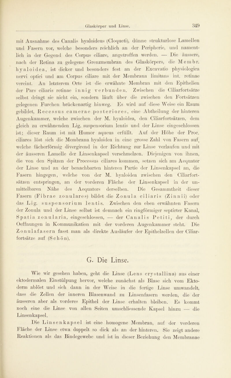 Glaskörper und Linse. mit Ausnahme des Canalis hyaloideus (Cloqueti), dünne strukturlose Lamellen und Fasern vor, welche besonders reichlich an der Peripherie, und nament- lich in der Gegend des Corpus ciliare, angetroffen werden. — Die äussere, nach der Retina zu gelegene Grenzmembran des Glaskörpers, die M e m b r. hyaloidea, ist dicker und besonders fest an der Excavatio physiologica nervi optici und am Corpus ciliare mit der Membrana limitans int. retinae vereint. An letzterem Orte ist die erwähnte Membran mit den Epithelien der Pars ciliaris retinae innig verbunden. Zwischen die Ciliarfortsätze selbst dringt sie nicht ein, sondern läuft über die zwischen den Fortsätzen gelegenen Furchen brückenartig hinweg. Es wird auf diese Weise ein Raum gebildet, Recessus camerae posteriores, eine Abtheilung der hinteren Augenkammer, welche zwischen der M. hyaloidea, den Ciliarfortsätzen, dem gleich zu erwähnenden Lig. Suspensorium lentis und der Linse eingeschlossen ist; dieser Raum ist mit Humor aqueus erfüllt. Auf der Höhe der Proc. ciliares löst sich die Membrana hyaloidea in eine grosse Zahl von Fasern auf welche fächerförmig divergirend in der Richtung zur Linse verlaufen und mit der äusseren Lamelle der Linsenkapsel verschmelzen. Diejenigen von ihnen, die von den Spitzen der Processus ciliares kommen, setzen sich am Aequator der Linse und an der benachbarten hinteren Partie der Linsenkapsel an, die Fasern hingegen, welche von der M. hyaloidea zwischen den Ciliarfort- sätzen entspringen, an der vorderen Fläche der Linsenkapsel in der un- mittelbaren Nähe des Aequators derselben. Die Gesammtheit dieser Fasern (Fi b rae zonulares) bildet die Zonu 1 a ciliaris (Z inn ii) oder das Lig. Suspensorium lentis. Zwischen den eben erwähnten Fasern der Zonula und der Linse selbst ist demnach ein ringförmiger septirter Kanal, S p a t i a z o n u 1 a ri a, eingeschlossen, — der Canalis P e t i t i, der durch Oeffnungen in Kommunikation mit der vorderen Augenkammer steht. Die Zonulafasern fasst man als direkte Ausläufer der Epithelzellen der Ciliar- fortsätze auf (S c h ö n). G. Die Linse. Wie wir gesehen haben, geht die Linse (Lens crystallina) aus einer ektodermalen Einstülpung hervor, welche zunächst als Blase sich vom Ekto- derm ablöst und sich dann in der AVeise in die fertige Linse umwandelt, dass die Zellen der inneren Blasenwand zu Linsenfasern werden, die der äusseren aber als vorderes Epithel der Linse erhalten bleiben. Es kommt noch eine die Linse von allen Seiten umseh liessende Kapsel hinzu — die Linsenkapsel. Die Linsenkapsel ist eine homogene Membran, auf der vorderen Fläche der Linse etwa doppelt so dick als an der hinteren. Sie zeigt andere Reaktionen als das Bindegewebe und ist in dieser Beziehung den Membranae