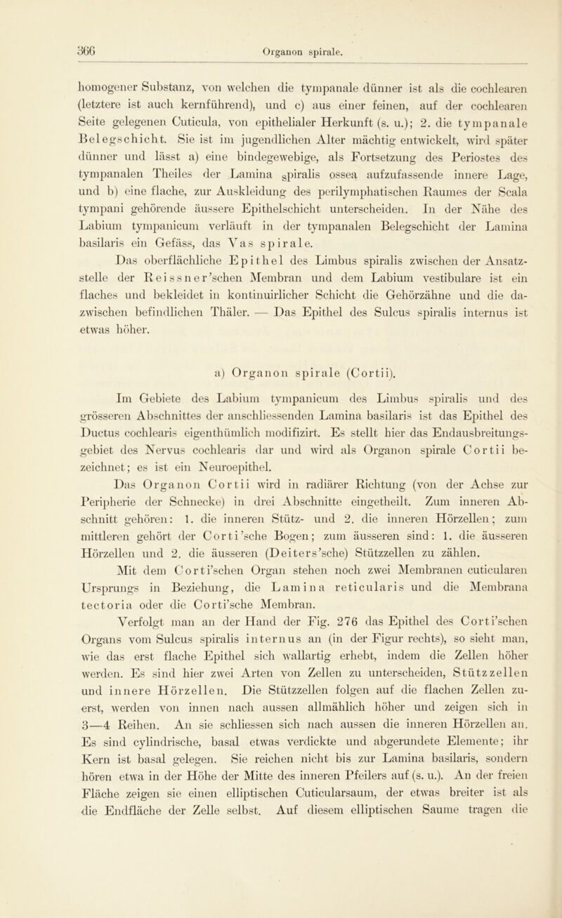 homogener Substanz, von welchen die tympanale dünner ist als die cochlearen (letztere ist auch kernführend), und c) aus einer feinen, auf der cochlearen Seite gelegenen Cuticula, von epithelialer Herkunft (s. u.); 2. die tympanale Belegschicht. Sie ist im jugendlichen Alter mächtig entwickelt, wird später dünner und lässt a) eine bindegewebige, als Fortsetzung des Periostes des tympanalen Theiles der Lamina spiralis ossea aufzufassende innere Lage, und b) eine flache, zur Auskleidung des perilymphatischen Raumes der Scala tympani gehörende äussere Epithelschicht unterscheiden. In der Nähe des Labium tympanicum verläuft in der tympanalen Belegschicht der Lamina basilaris ein Gefäss, das V a s spirale. Das oberflächliche Epithel des Limbus spiralis zwischen der Ansatz- stelle der R e i s s n e r ’schen Membran und dem Labium vestibuläre ist ein flaches und bekleidet in kontinuirlicher Schicht die Gehörzähne und die da- zwischen befindlichen Thäler. — Das Epithel des Sulcus spiralis internus ist etwas höher. a) Organon spirale (Cortii). Im Gebiete des Labium tympanicum des Limbus spiralis und des grösseren Abschnittes der anschliessenden Lamina basilaris ist das Epithel des Ductus cochlearis eigenthümlich modifizirt. Es stellt hier das Endausbreitungs- gebiet des Nervus cochlearis dar und wird als Organon spirale Cortii be- zeichnet; es ist ein Neuroepithel. Das Organon Cortii wird in radiärer Richtung (von der Achse zur Peripherie der Schnecke) in drei Abschnitte eingetheilt. Zum inneren Ab- schnitt gehören: 1. die inneren Stütz- und 2. die inneren Hörzellen; zum mittleren gehört der Corti’sche Bogen; zum äusseren sind: 1. die äusseren Hörzellen und 2. die äusseren (Deiters’sche) Stützzellen zu zählen. Mit dem Corti’schen Organ stehen noch zwei Membranen cuticularen Ursprungs in Beziehung, die Lamina reticularis und die Membrana tectoria oder die Corti’sche Membran. Verfolgt man an der Hand der Fig. 276 das Epithel des Corti’schen Organs vom Sulcus spiralis internus an (in der Figur rechts), so sieht man, wie das erst flache Epithel sich wallartig erhebt, indem die Zellen höher werden. Es sind hier zwei Arten von Zellen zu unterscheiden, Stützzellen und innere Hörzellen. Die Stützzellen folgen auf die flachen Zellen zu- erst, werden von innen nach aussen allmählich höher und zeigen sich in 3—4 Reihen. An sie schliessen sich nach aussen die inneren Hörzellen an. Es sind cylindrische, basal etwas verdickte und abgerundete Elemente; ihr Kern ist basal gelegen. Sie reichen nicht bis zur Lamina basilaris, sondern hören etwa in der Höhe der Mitte des inneren Pfeilers auf (s. u.). An der freien Fläche zeigen sie einen elliptischen Cuticularsaum, der etwas breiter ist als die Endfläche der Zelle selbst. Auf diesem elliptischen Saume tragen die