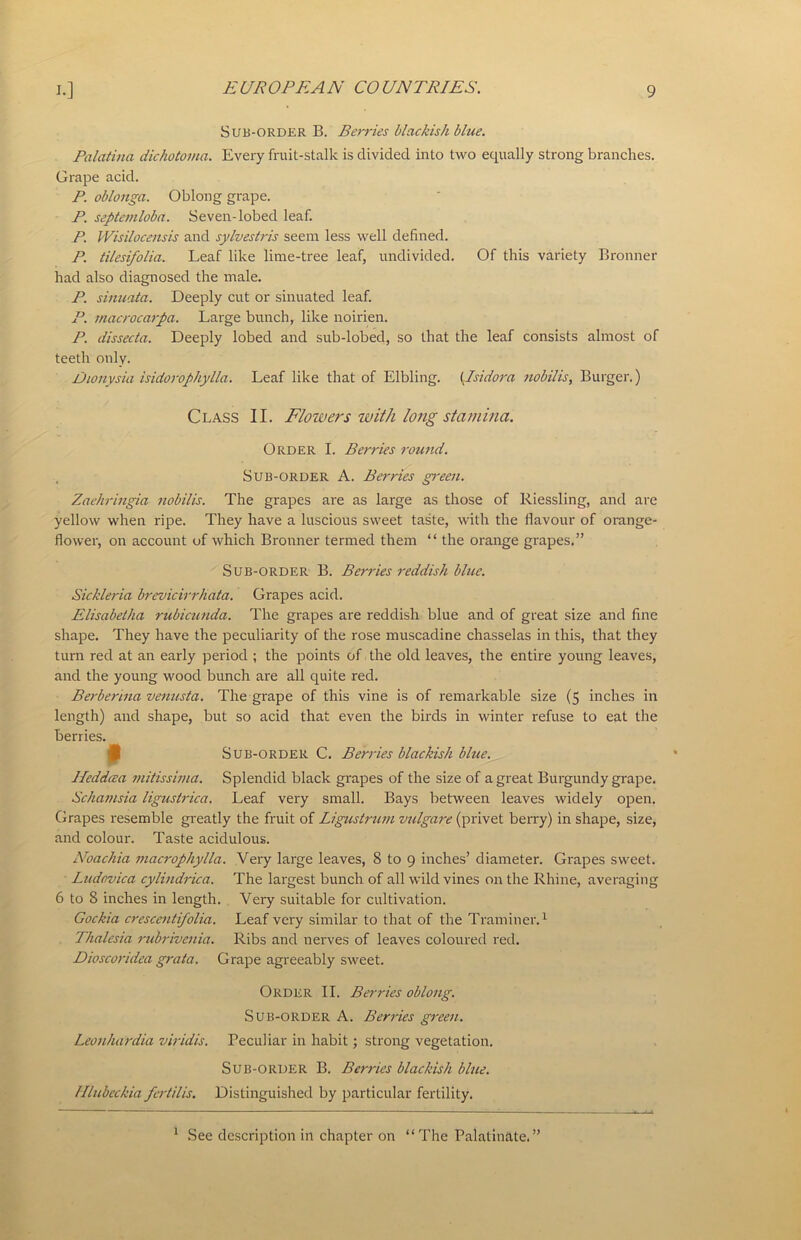 Sub-order B. Berries blackish blue. Palatina dichotoma. Every fruit-stalk is divided into two equally strong branches. Grape acid. P. oblonga. Oblong grape. P. septemloba. Seven-lobed leaf. P. Wisilocensis and sylvestris seem less well defined. P. tilesifolia. Leaf like lime-tree leaf, undivided. Of this variety Bronner had also diagnosed the male. P. sinuata. Deeply cut or sinuated leaf. P. macrocarpa. Large bunch, like noirien. P. dissecta. Deeply lobed and sub-lobed, so that the leaf consists almost of teeth only. Dionysia isidorophylla. Leaf like that of Elbling. i I si dor a nobilis, Burger.) Class II. Flowers with long stamina. Order I. Berries round. Sub-order A. Berries green. Zaehringia nobilis. The grapes are as large as those of Riessling, and are yellow when ripe. They have a luscious sweet taste, with the flavour of orange- flower, on account of which Bronner termed them “ the orange grapes.” Sub-order B. Berries reddish blue. Sickleria brevicirrhata. Grapes acid. Elisabetha rubicunda. The grapes are reddish blue and of great size and fine shape. They have the peculiarity of the rose muscadine chasselas in this, that they turn red at an early period ; the points of the old leaves, the entire young leaves, and the young wood bunch are all quite red. Berberina venusta. The grape of this vine is of remarkable size (5 inches in length) and shape, but so acid that even the birds in winter refuse to eat the berries. 9 Sub-order C. Berries blackish blue. Heddcea mitissima. Splendid black grapes of the size of a great Burgundy grape. Schamsia ligustrica. Leaf very small. Bays between leaves widely open. Grapes resemble greatly the fruit of Ligustrum vulgare (privet berry) in shape, size, and colour. Taste acidulous. Noachia macrophylla. Very large leaves, 8 to 9 inches’ diameter. Grapes sweet. Ludovica cylindrica. The largest bunch of all wild vines on the Rhine, averaging 6 to 8 inches in length. Very suitable for cultivation. Gockia crescentifolia. Leaf very similar to that of the Traminer.1 Thalesia rubrivenia. Ribs and nerves of leaves coloured red. Dioscoridea grata. Grape agreeably sweet. Order II. Berries oblong. Sub-order A. Berries green. Leonhardia viridis. Peculiar in habit; strong vegetation. Sub-order B. Berries blackish blue. Hlubeckia fertilis. Distinguished by particular fertility. 1 See description in chapter on “The Palatinate.”