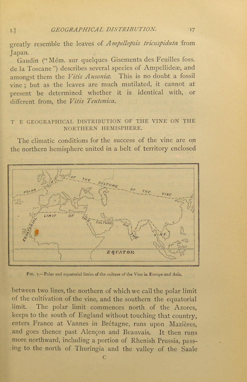 greatly resemble the leaves of Ampellopsis tricuspidata from Japan. Gaudin (“Mem. sur quelques Gisements des Feuilles foss. de la Toscane”) describes several species of Ampellideae, and amongst them the Vitis Ausonice. This is no doubt a fossil vine ; but as the leaves are much mutilated, it cannot at present be determined whether it is identical with, or different from, the Vitis Teutonica. T E GEOGRAPHICAL DISTRIBUTION OF THE VINE ON THE NORTHERN HEMISPHERE. The climatic conditions for the success of the vine are on the northern hemisphere united in a belt of territory enclosed Fig. 7.—Polar and equatorial limits of the culture of the Vine in Europe and Asia. between two lines, the northern of which we call the polar limit of the cultivation of the vine, and the southern the equatorial limit. The polar limit commences north of the Azores, keeps to the south of England without touching that country, enters France at Vannes in Brdtagne, runs upon Mazieres, and goes thence past Alengon and Beauvais. It then runs more northward, including a portion of Rhenish Prussia, pass- ing to the north of Thuringia and the valley of the Saale C