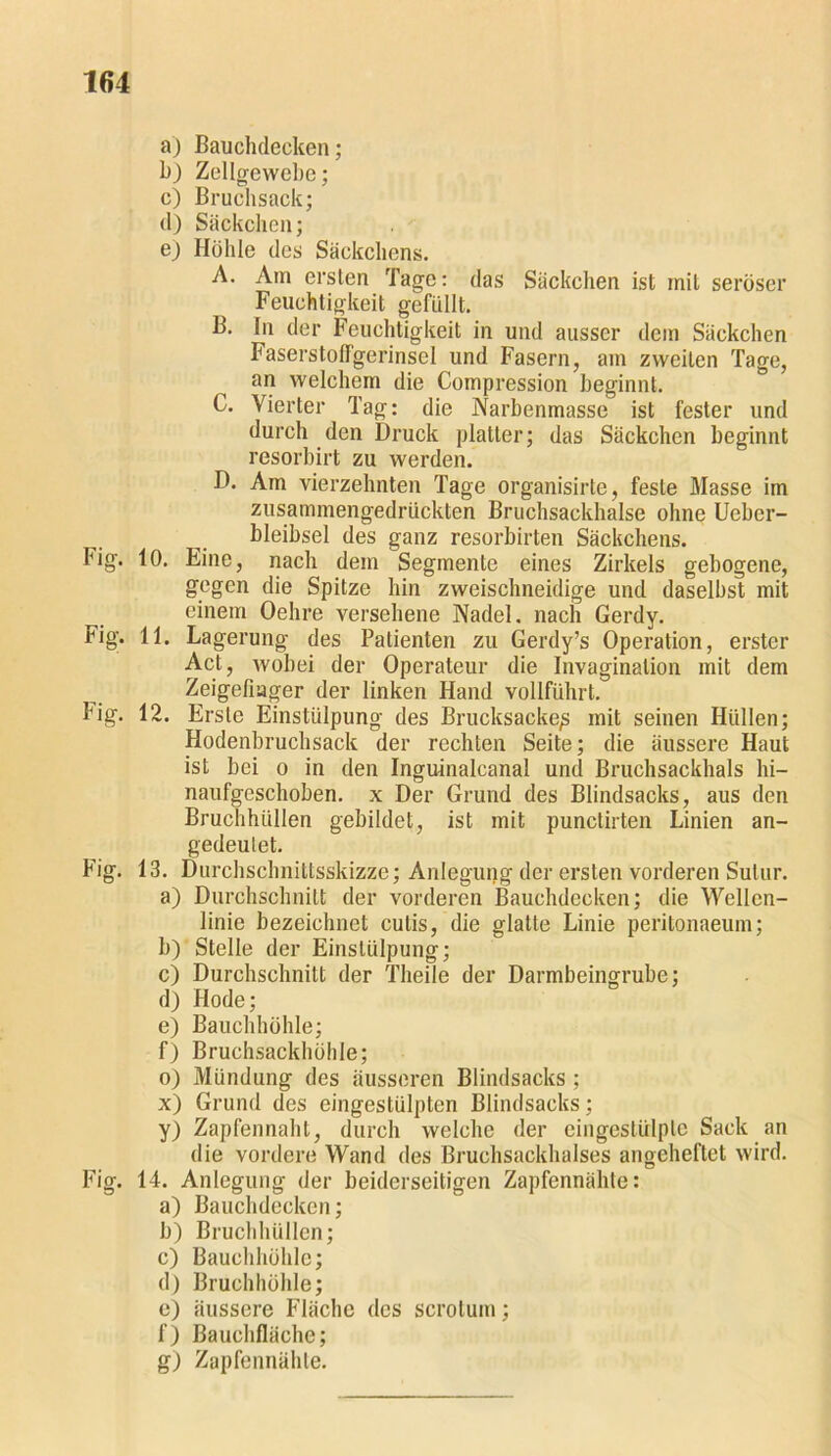 a) Bauchdecken; b) Zellgewebe; c) Bruchsack; d) Säckchen; e) Höhle des Säckchens. A. Am ersten Tage: das Säckchen ist mit seröser Feuchtigkeit gefüllt. B. In der Feuchtigkeit in und ausser dem Säckchen FaserstofFgerinsel und Fasern, am zweiten Tage, an welchem die Compression beginnt. C. Vierter Tag: die Narbenmasse ist fester und durch den Druck platter; das Säckchen beginnt resorbirt zu werden. D. Am vierzehnten Tage organisirte, feste Masse im zusammengedrückten Bruchsackhalse ohne Ueber- bleibsel des ganz resorbirten Säckchens. Fig. 10. Eine, nach dem Segmente eines Zirkels gebogene, gegen die Spitze hin zweischneidige und daselbst mit einem Oehre versehene Nadel, nach Gerdy. Fig. 11. Lagerung des Patienten zu Gerdy’s Operation, erster Act, wobei der Operateur die Invaginalion mit dem Zeigefinger der linken Hand vollführt. Fig. 12. Erste Einstülpung des Brucksacke^ mit seinen Hüllen; Hodenbruchsack der rechten Seite; die äussere Haut ist bei o in den Inguinalcanal und Bruchsackhals hi- naufgeschoben. x Der Grund des Blindsacks, aus den Bruchhüllen gebildet, ist mit punctirten Linien an- gedeutet. Fig. 13. Durchschnittsskizze; Anlegung der ersten vorderen Sulur. a) Durchschnitt der vorderen Bauchdecken; die Wellen- linie bezeichnet cutis, die glatte Linie peritonaeum; b) Stelle der Einstülpung; c) Durchschnitt der Theile der Darmbeingrube; d) Hode; e) Bauchhöhle; f) Bruchsackhöhle; o) Mündung des äusseren Blindsacks; x) Grund des eingestülpten Blindsacks; y) Zapfennaht, durch welche der cingestülplc Sack an die vordere Wand des Bruchsackhalses angeheftet wird. Fig. 14. Anlegung der beiderseitigen Zapfennähte: a) Bauchdecken; b) Bruchhüllen; c) Bauchhöhle; d) Bruchhöhle; e) äussere Fläche des scrotum; f) Bauchfläche; g) Zapfennähte.