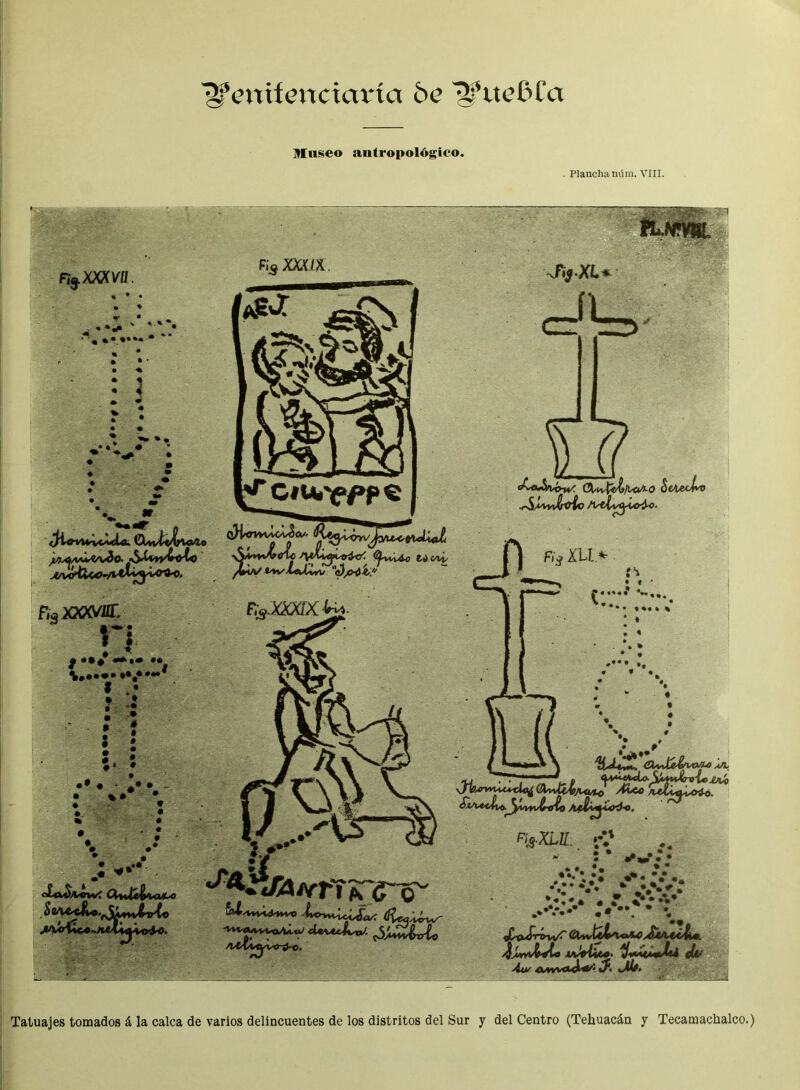 lífenif ene tarta be 'SfttedCa Museo antropológico. . Plancha núm. yIII. tLNMIL r^mva. F ¡s XXXIX. , »• • • • « : 3 r : • • ’v ir óficvU'U'^Ut CWfaijVa'io ^ ^ ^/^AWC/vío. I&ttry&iyto ■^A'*YiA?(rtc fctícot/ FígXXXVUT, n ^ «I# •*•• •* i ; /tiv Vyn/LeJi^j e)/>-óí. Fig.XjQdX. :* 5 • *»' J*XU il ^ .rS^yJreto Fi> XLt> • f xJrb¿rwJu*idci¿ A4J¿^y^ró~o. **•• «%•*% ^ * • 'ic&uc ■pf oLo^cwe ft*¿é&WMU> J&lrJA /vrT h~C~o~ F»XLll: .M • *.* Sí/WC ^^vvwulw cíu«Lí * 5 •‘.Vi;: ^:¿y: ,• * •..v ¿tjJrwwC <2Uvfei^^/<ÍU4¿4ii. ^¿yvV&tf'ío -tvWifcí». íívMtmili -4t*' AWMkW' > üti