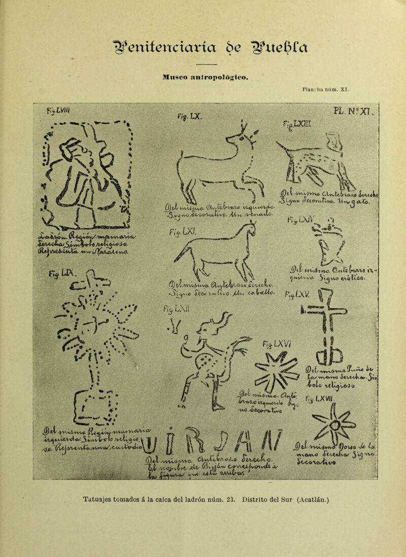 ^Vwftmcicma 6e Museo anlropológieo. Plancha núm. Xí. f:\.lvtn oCo^Ao w. VV<a*^^la«^lvyví>A-t<í/ rl-3 /5^1-j^vü ¿O. (íLftj 3/i&6-4tvfcá- «i w jyk.'X&Ai- vu<x %í*ix. CL^ £ZS- ' ~ /y' .* -' r r \^» u. ♦»» %A\»l * «* ia «• \« ^ * » ** r /• »•« * í1 ttv/ F/?. IX TL.NfXI nfixni /ív\a J»v) C.lwt&&ta.*a ¿iAf-ikc ■ ¡ r , *& , íí ík&ittíl-ijo, ^4 tv Q , U).jX (¡Xv*Mrwui ' 'J -$A-Í vK/y^iOO^aXCvX). /t/ti-v t . 4 - K¿.la1\ »0i % / r F Í£/~^' . Jj)il w^hwl 0.«I< Í*iív.\o iX •• ^l^íl-vS 3 > ¿| WO éftÓ tí-fi-A. tr\) Vt/zzvvkvvo. ,¿ wtl<. *5l<yv-i« Sí©*xiA.CiiO.jU'**, Co\vtJAc- p.aLxv: ^ ^ 0«t !<j xf^ C^' (ftX s (_xvu -\AX~l k* _ » _ -.- ÍvaAí ¿<z .Lev” HMMW ¿evc<4\«*. J¡i¿ Xolo Vílt^L<PÍO -vuO /« 2<^T*a,tú-o ^/X^lA^Vti<V</3^,^vvC^ iO l | § I í *H f) 1 i / u ,_ ‘¡ $iA4A$\ i jfttlxtvU/tyvyo. íWU-te/ia^ tyü, VtO^,.írrt.,cl© 63i^¿av t^knKtóO/ <^v>4 ^ 1_1_.: ^oX'VvUAvw-^^OWO •J*' ^iK YW«/V\0 <]«•<.<, c|\<V 3^^V» «K^CoVo/ti vO
