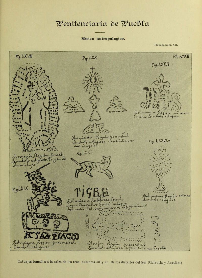 l^emfertctaría be ^tteBCa Museo antropológico. Plancha núm. XII. «VIVV&'WC® i ivwia-uc ¿H, o'wwcÁ-d-tJ <ft <LyJ>-v'jV'~ ^¿JLoío /uiuj*o40' '£>'* /&/*í/3 >»Cw v<^-< V-Co * Fiq. LXX\//.* /^VVl4'VVVo <W0Co *l-f ¡XyvUlrrOA.0 J> i’ /kkiÁ4^»^0’ . / ^vO Jiocrva/ í-wo ■ £j-vm/í^c*-- wyA*^ XvuiJíivi,t<pj A*^*^^^* c ^é.' • •* * * k k ^vec^o-acU-tv? Vwvct^>M>. >J1 &vt-ü^r ¿'tí, oA c /u£Í.'< 1 a - -usv íi (í ■J ú Tatuajes tomados á la calea de los reos números 40 y 22 de los distritos del Sur (Chiautla y Acatlán.)