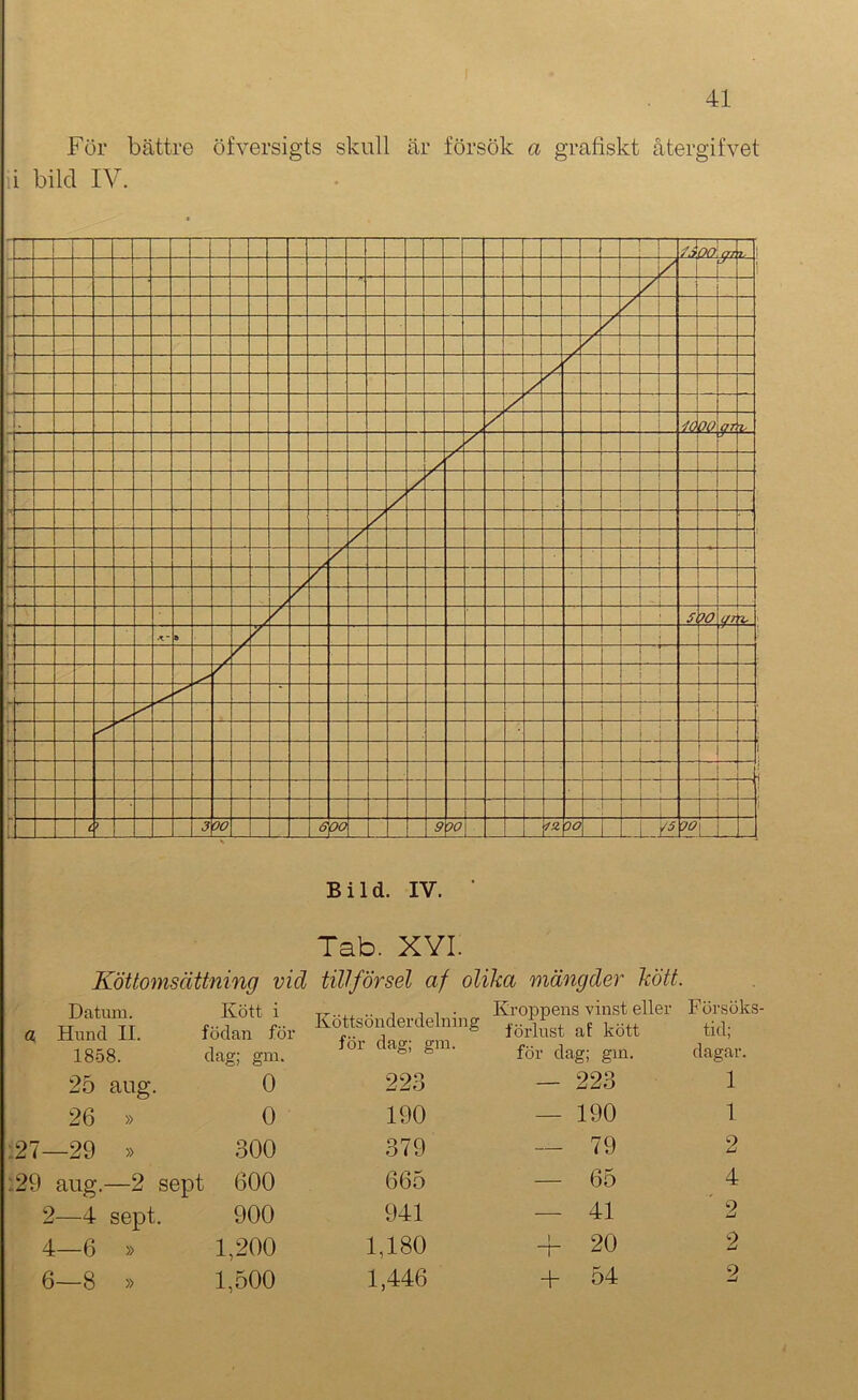 För bättre öfversigts skull är försök a grafiskt återgifvet i bild IV. Tab. XYI. Köttomsättning vid tillförsel af olika mängder kött. Datum. Hund 11. Kött i födan föl- Köttsönderdelning för dag; gm. Kroppens vinst eller förlust af kött FörsökS' tid; 1858. dag; gm. för dag; gm. dagar. 25 aug. 0 223 — 223 1 26 » 0 190 — 190 1 —29 » 300 379 — 79 2 1 aug.—2 sept 600 665 — 65 4 2—4 sept. 900 941 — 41 ' 2 4—6 » 1,200 1,180 4- 20 2 6—8 » 1,500 1,446 + 54 2