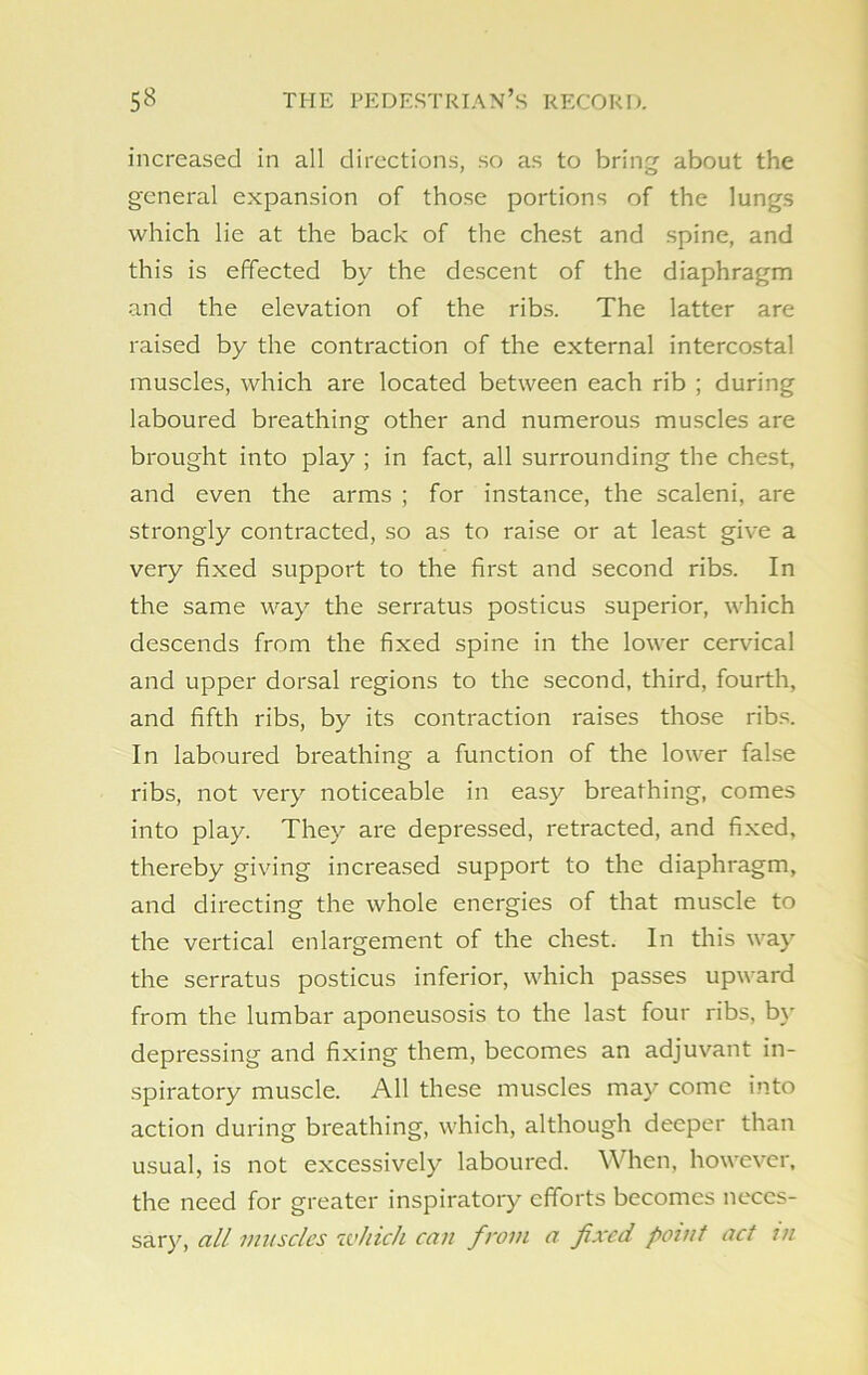 increased in all directions, so as to bring- about the general expansion of those portions of the lungs which lie at the back of the chest and spine, and this is effected by the descent of the diaphragm and the elevation of the ribs. The latter are raised by the contraction of the external intercostal muscles, which are located between each rib ; during laboured breathing other and numerous muscles are brought into play ; in fact, all surrounding the chest, and even the arms ; for instance, the scaleni, are strongly contracted, so as to raise or at least give a very fixed support to the first and second ribs. In the same way the serratus posticus superior, which descends from the fixed spine in the lower cervical and upper dorsal regions to the second, third, fourth, and fifth ribs, by its contraction raises those ribs. In laboured breathing a function of the lower false ribs, not very noticeable in easy breathing, comes into play. They are depressed, retracted, and fixed, thereby giving increased support to the diaphragm, and directing the whole energies of that muscle to the vertical enlargement of the chest. In this way the serratus posticus inferior, which passes upward from the lumbar aponeusosis to the last four ribs, by depressing and fixing them, becomes an adjuvant in- spiratory muscle. All these muscles may come into action during breathing, which, although deeper than usual, is not excessively laboured. When, however, the need for greater inspiratory efforts becomes neces- sary, all muscles iv/iic/i can from a fixed point act in