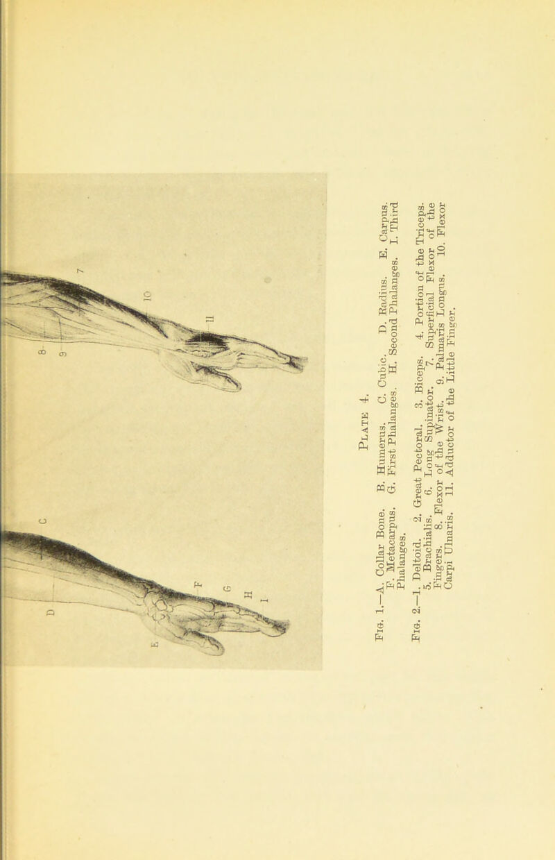 00^ car W . GO 3 £ ^d r0 d d-d .'d P 2 w o o <D .C0 o . |w o . m O 03 w be fl ^d 73 d 3rd H CL <D ^ s-s Wfi( pq'6 s J3 § 8*8 O rd O ^ +3 * (1) =♦-< '“' . O [i| cc O-H to s.g g 1h o ® . pedHJ J4 rH 03 0) co be &1.S Q. £ ^ 0) 8g< w d co , O Q) 83% a ® a os g _ ’ « d g HO} O <D o g t§ . ga 03 CO 8 Jh <M 03 ..2 33 co ^ d 2 fd rd . r* Hi! r53? • uifeo rH I c4 d ►H