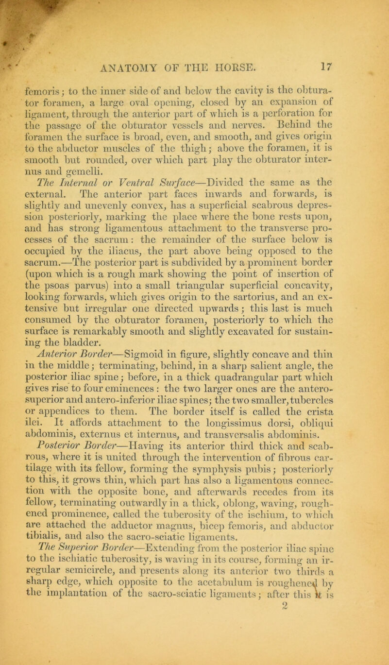 *■ i ♦ . ANATOMY OF THE HORSE. 17 femoris; to the inner side of and beloiv the cavity is the obtura- tor foramen, a large oval opening, closed by an expansion of ligament, through the anterior part of which is a perforation for the passage of the obturator vessels and nerves. Behind the foramen the surface is broad, even, and smooth, and gives origin to the abductor muscles of the thigh; above the foramen, it is smooth but rounded, over which part play the obturator inter- ims and gemelli. The Internal or Ventral Surface—Divided the same as the external. The anterior part faces inwards and forwards, is slightly and unevenly convex, has a superficial scabrous depres- sion posteriorly, marking the place where the bone rests upon, and has strong ligamentous attachment to the transverse pro- cesses of the sacrum: the remainder of the surface below is occupied by the iliacus, the part above being opposed to the sacrum.—The posterior part is subdivided by a prominent border (upon which is a rough mark showing the point of insertion of the psoas parvus) into a small triangular superficial concavity, looking forwards, which gives origin to the sartorius, and an ex- tensive but irregular one directed upwards; this last is much consumed by the obturator foramen, posteriorly to which the surface is remarkably smooth and slightly excavated for sustain- ing the bladder. Anterior Border—Sigmoid in figure, slightly concave and thin in the middle; terminating, behind, in a sharp salient angle, the posterior iliac spine; before, in a thick quadrangular part which gives rise to four eminences : the two larger ones are the antero- superior and antero-inferior iliac spines; the two smaller, tubercles or appendices to them. The border itself is called the crista ilei. It affords attachment to the longissimus dorsi, obliqui abdominis, externus et internus, and transversalis abdominis. Posterior Border—Having its anterior third thick and scab- rous, where it is united through the intervention of fibrous car- tilage with its fellow, forming the symphysis pubis; posteriorly to this, it grows thin, which part has also a ligamentous connec- tion with the opposite bone, and afterwards recedes from its fellow, terminating outwardly in a thick, oblong, waving, rough- ened prominence, called the tuberosity of the ischium, to which are attached the adductor magnus, bicep femoris, and abductor tibialis, and also the sacro-sciatic ligaments. The Superior Border—Extending from the posterior iliac spine to the ischiatic tuberosity, is waving in its course, forming an ir- regular semicircle, and presents along its anterior two thirds a sharp edge, which opposite to the acetabulum is roughened by the implantation of the sacro-sciatic ligaments; after this it is