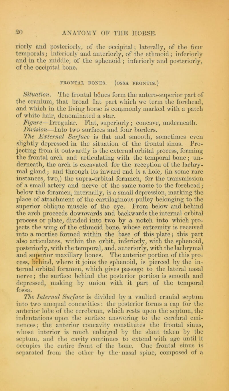 riorly and posteriorly, of tlic occipital; laterally, of the four temporals; interiorly and anteriorly, of the ethmoid; interiorly and in the middle, of the sphenoid; interiorly and posteriorly, of the occipital bone. FRONTAL BONES. (OSSA FRONTIS.) Situation. The frontal bSnes form the antero-superior part of the cranium, that broad flat part which wre term the forehead, and which in the living horse is commonly marked with a patch of white hair, denominated a star. Figure—Irregular. Flat, superiorly; concave, underneath. Division—Into two surfaces and four borders. The External Surface is flat and smooth, sometimes even slightly depressed in the situation of the frontal sinus. Pro- jecting from it outwardly is the external orbital process, forming the frontal arch and articulating with the temporal bone; un- derneath, the arch is excavated for the reception of the lachry- mal gland; and through its inward end is a hole, (in some rare instances, two,) the supra-orbital foramen, for the transmission of a small artery and nerve of the same name to the forehead; below the foramen, internally, is a small depression, marking the place of attachment of the cartilaginous pulley belonging to the superior oblique muscle of the eye. From below and behind the arch proceeds downwards and backwards the internal orbital process or plate, divided into two by a notch into which pro- jects the vring of the ethmoid bone, whose extremity is received into a mortise formed within the base of this plate; this part also articulates, within the orbit, interiorly, with the sphenoid, posteriorly, with the temporal, and, anteriorly, with tlic lachrymal and superior maxillary bones. The anterior portion of this pro- cess, behind, wdicre it joins the sphenoid, is pierced by the in- ternal orbital foramen, which gives passage to the lateral nasal nerve; the surface behind the posterior portion is smooth and depressed, making by union with it part of the temporal fossa. The Internal Surface is divided by a vaulted cranial septum into two unequal concavities: the posterior forms a cap for the anterior lobe of the cerebrum, which rests upon the septum, the indentations upon the surface answering to the cerebral emi- nences; the anterior concavity constitutes the frontal sinus, whose interior is much enlarged by the slant taken by the septum, and the cavity continues to extend with age until it occupies the entire front of the bone. One frontal sinus is separated from the other by the nasal spine, composed of a