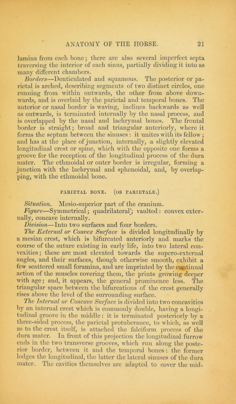 lamina from eacli bone; there are also several imperfect septa traversing the interior of each sinus, partially dividing it into as many different chambers. Bordei's—Denticulated and squamous. The posterior or pa- rietal is arched, describing segments of two distinct circles, one running from within outwards, the other from above down- wards, and is overlaid by the parietal and temporal bones. The anterior or nasal border is waving, inclines backwards as well as outwards, is terminated internally by the nasal process, and is overlapped by the nasal and lachrymal bones. The frontal border is straight; broad and triangular anteriorly, where it forms the septum between the sinuses : it unites with its fellow; and has at the place of junction, internally, a slightly elevated longitudinal crest or spine, which with the opposite one forms a groove for the reception of the longitudinal process of the dura mater. The ethmoidal or outer border is irregular, forming a junction with the lachrymal and sphenoidal, and, by overlap- ping, with the ethmoidal bone. PARIETAL BONE. (OS PARIETALE.) Situation. Mesio-superior part of the cranium. Figure■—Symmetrical; quadrilateral'; vaulted : convex exter- nally, concave internally. Division—Into two surfaces and four borders. The External or Convex Surface is divided longitudinally by a mesian crest, which is bifurcated anteriorly and marks the course of the suture existing in early life, into two lateral con- vexities; these are most elevated towards the supero-external angles, and their surfaces, though otherwise smooth, exhibit a few scattered small foramina, and are imprinted by the cftjptinual action of the muscles covering them, the prints growing deeper with age; and, it appears, the general prominence less. The triangular space between the bifurcations of the crest generally rises above the level of the surrounding surface. The Internal or Concave Surface is divided into two concavities by an internal crest which is commonly double, having a longi- tudinal groove in the middle : it is terminated posteriorly by a three-sided process, the parietal protuberance, to which, as well as to the crest itself, is attached the falciform process of the dura mater. In front of this projection the longitudinal furrow ends in the two transverse grooves, which run along the poste- rior border, between it and the temporal bones : the former lodges the longitudinal, the latter the lateral sinuses of the dura mater. The cavities themselves are adapted to cover the mid-