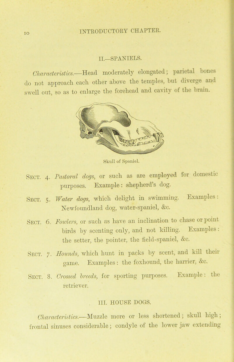 IO II.—SPANIELS. Characteristics.—Head moderately elongated; parietal bones do not approach each other above the temples, hut diverge and swell out, so as to enlarge the forehead and cavity of the bram. Skull of Spaniel. Sect. 4. Pastoral dogs, or such as are employed for domestic purposes. Example: shepherd’s dog. Sect. 5. Water dogs, which delight in swimming. Examples. Newfoundland dog, water-spaniel, &c. Sect. 6. Fowlers, or such as have an inclination to chase or point birds by scenting only, and not killing. Examples : the setter, the pointer, the field-spaniel, &c. Sect. 7. Hounds, which hunt in packs by scent, and kill their game. Examples : the foxhound, the harrier, &c. Sect. 8. Crossed breeds, for sporting purposes. Example: the retriever. III. HOUSE DOGS. Characteristics.—Muzzle more or less shortened; skull high; frontal sinuses considerable; condyle of the lower jaw extending