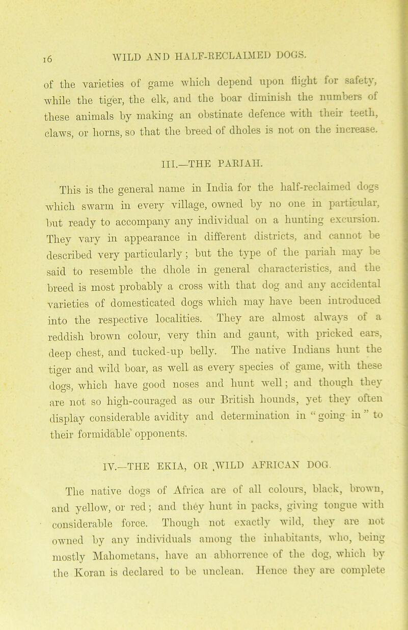 of the varieties of game which depend upon flight for safety, while the tiger, the elk, and the hoar diminish the numbers of these animals by making an obstinate defence with theii teeth, claws, or horns, so that the breed of dholes is not on the increase. III.—THE PARIAH. This is the general name in India for the half-reclaimed dogs which swarm in every village, owned by no one in particular, but ready to accompany any individual on a hunting excursion. They vary in appearance in different districts, and cannot be described very particularly; but the type of the pariah may be said to resemble the dhole in general characteristics, and the breed is most probably a cross with that dog and any accidental varieties of domesticated dogs which may have been introduced into the respective localities. They are almost always of a reddish brown colour, very thin and gaunt, with pricked ears, deep chest, and tuclced-up belly. The native Indians hunt the tiger and wild boar, as well as every species of game, with these dogs, which have good noses and hunt well; and though they are not so higli-couraged as our British hounds, yet they often display considerable avidity and determination in “ going in  to their formidable opponents. IV.—THE EKIA, OR .WILD AFRICAN DOG. The native dogs of Africa are of all colours, black, brown, and yellow, or red; and they hunt in packs, giving tongue with considerable force. Though not exactly wild, they are not owned by any individuals among the inhabitants, who, being mostly Mahometans, have an abhorrence of the dog, which by the Koran is declared to be unclean. Hence they are complete