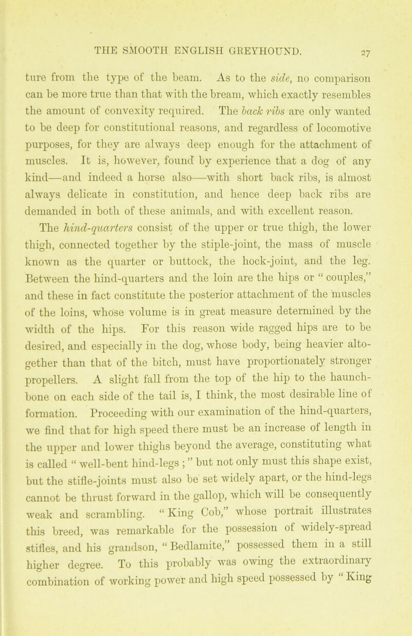 ture from the type of the beam. As to the side, no comparison can he more true than that with the bream, which exactly resembles the amount of convexity required. The back ribs are only wanted to be deep for constitutional reasons, and regardless of locomotive purposes, for they are always deep enough for the attachment of muscles. It is, however, found by experience that a dog of any kind—and indeed a horse also—with short back ribs, is almost always delicate in constitution, and hence deep back ribs are demanded in both of these animals, and with excellent reason. The hind-quarters consist of the upper or true thigh, the lower thigh, connected together by the stiple-joint, the mass of muscle known as the quarter or buttock, the hock-joint, and the leg. Between the hind-quarters and the loin are the hips or “ couples,” and these in fact constitute the posterior attachment of the muscles of the loins, whose volume is in great measure determined by the width of the hips. For this reason wide ragged hips are to be desired, and especially in the dog, whose body, being heavier alto- gether than that of the bitch, must have proportionately stronger propellers. A slight fall from the top ol the hip to the haunch- bone on each side of the tail is, I think, the most desirable line ot formation. Proceeding with our examination of the hind-quarters, we find that for high speed there must be an increase of length in the upper and lower thighs beyond the average, constituting what is called “ well-bent hind-legs ; ” but not only must this shape exist, but the stifle-joints must also be set widely apart, or the hind-legs cannot be thrust forward in the gallop, which will be consequently weak and scrambling. “ King Cob, whose portrait illustrates this breed, was remarkable for the possession ol widely-spread stifles, and his grandson, “ Bedlamite, possessed them in a still higher degree. To this probably was owing the extraordinary combination of working power and high speed possessed by King