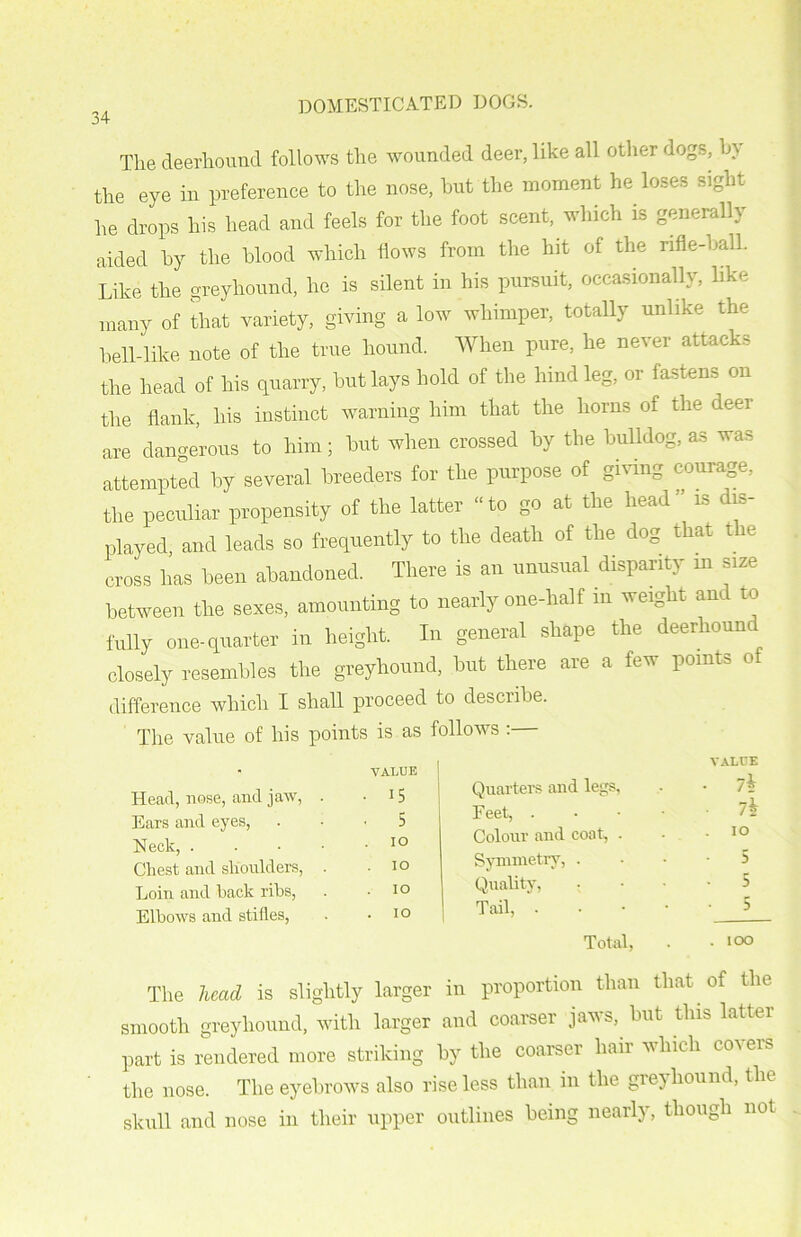 The deerhound follows the wounded deer, like all other dogs, by the eye in preference to the nose, but the moment he loses sight he drops his head and feels for the foot scent, which is generally aided by the blood which flows from the hit of the nfle-ball. Like the greyhound, he is silent in his pursuit, occasionally, like many of that variety, giving a low whimper, totally unlike the bell-like note of the true hound. When pure, he never attacks the head of his quarry, but lays hold of the hind leg, or fastens on the flank, his instinct warning him that the horns of the deer are dangerous to him; but when crossed by the bulldog, as was attempted by several breeders for the purpose of giving courage, the peculiar propensity of the latter “to go at the head'’ is dis- played, and leads so frequently to the death of the dog that the cross has been abandoned. There is an unusual disparity in size between the sexes, amounting to nearly one-half in weight and to fully one-quarter in height. In general shape the deerhound closely resembles the greyhound, but there are a few points o difference which I shall proceed to describe. The value of his points is as follows : VALUE Head, nose, and jaw, . • 15 Ears and eyes, 5 Neck, . . IO Chest and shoulders, . . IO Loin and back ribs, . IO Elbows and stifles, . IO Quarters and legs, Feet, . Colour and coat, . Symmetry, . Quality, Tail, . Total, . - 100 VALUE 7i 7i io 5 5 5 The head is slightly larger in proportion than that of the smooth greyhound, with larger and coarser jaws, but this latter part is rendered more striking by the coarser hair which covers the nose. The eyebrows also rise less than in the greyhound, the skull and nose in their upper outlines being nearly, though not