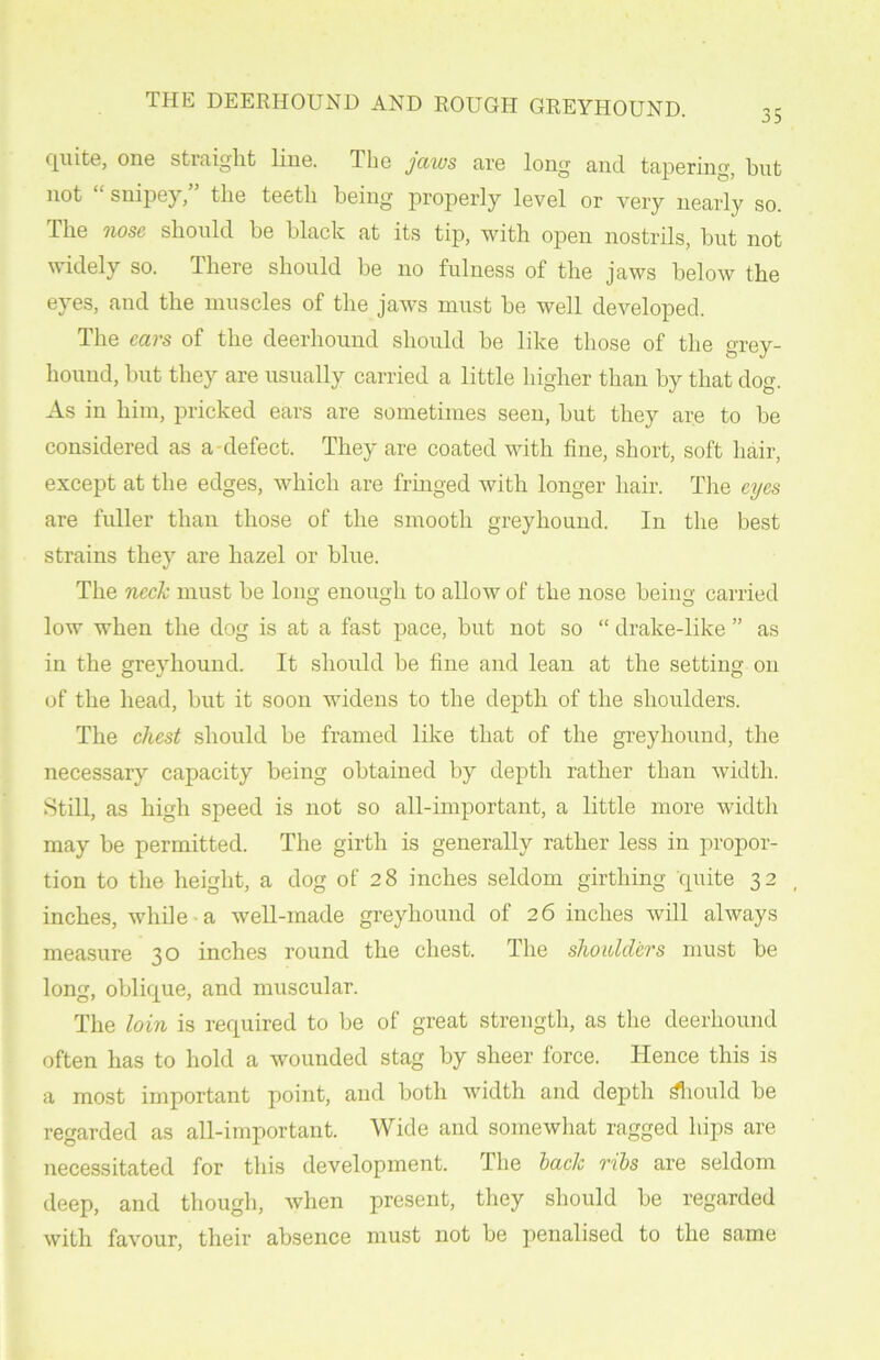 35 quite, one straight line. d he jciws are long and tapering, but not “ snipey,” the teeth being properly level or very nearly so. The nose should be black at its tip, with open nostrils, but not widely so. There should be no fulness of the jaws below the eyes, and the muscles of the jaws must be well developed. The ears of the deerhound should be like those of the grey- hound, but they are usually carried a little higher than by that dog. As in him, pricked ears are sometimes seen, but they are to be considered as a defect. They are coated with fine, short, soft hair, except at the edges, which are fringed with longer hair. The eyes are fuller than those of the smooth greyhound. In the best strains they are hazel or blue. The neck must be long enough to allow of the nose being carried low when the dog is at a fast pace, but not so “ drake-like ” as in the greyhound. It should be fine and lean at the setting on of the head, but it soon widens to the depth of the shoulders. The chest should be framed like that of the greyhound, the necessary capacity being obtained by depth rather than width. Still, as high speed is not so all-important, a little more width may be permitted. The girth is generally rather less in propor- tion to the height, a dog of 28 inches seldom girthing quite 32 , inches, while a well-made greyhound of 26 inches will always measure 30 inches round the chest. The shoulders must be long, oblique, and muscular. The loin is required to be of great strength, as the deerhound often has to hold a wounded stag by sheer force. Hence this is a most important point, and both width and depth Should be regarded as all-important. Wide and somewhat ragged hips are necessitated for this development. The hack ribs are seldom deep, and though, when present, they should be regarded with favour, their absence must not be penalised to the same
