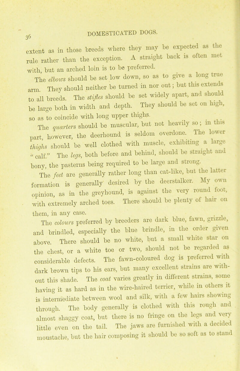 extent as in those breeds where they may be expected as the rule rather than the exception. A straight back is often met with, but an arched loin is to be preferred. The elbows should be set low down, so as to give a long true ann They should neither be turned in nor out; but tins extern s to all breeds. The stifle, should be set widely apart, and should be large both in width and depth. They should be set on hrgh, so as to coincide with long upper thighs The quarters should be muscular, hut not heavily so; m this part, however, the deerhound is seldom overdone. The lower thighs should he well clothed with muscle, exhibiting a large “ calf.” The legs, both before and behind, should he straight and bony, the pasterns being required to he large and strong. The feet are generally rather long than cat-like, hut the latter formation is generally desired by the deerstalker. My own opinion, as in the greyhound, is against the very round foot, with extremely arched toes. There should he plenty of hair on them, in any case. The colours preferred by breeders are dark blue, fawn, grizzle, and brindled, especially the blue brindle, in the order given above There should he no white, hut a small white star on the chest, or a white toe or two, should not be regarded as considerable defects. The fawn-coloured dog is preferred with dark brown tips to his ears, hut many excellent strains are with- out this shade. The coat varies greatly in different strains, some having it as hard as in the wire-haired terrier, while in others it is intermediate between wool and silk, with a few hairs showing through. The body generally is clothed with this rough and almost shaggy coat, hut there is no fringe on the legs and very little even on the tail. The jaws are furnished with a decided moustache, hut the hair composing it should be so soft as to stand