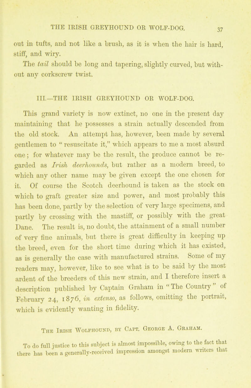 out in tufts, and not like a brush, as it is when the hair is hard, stiff, and wiry. The tail should he long and tapering, slightly curved, but with- out any corkscrew twist. III.—THE IRISH GREYHOUND OR WOLF-DOG. This grand variety is now extinct, no one in the present day maintaining that he possesses a strain actually descended from the old stock. An attempt lias, however, been made by several gentlemen to “ resuscitate it,” which appears to me a most absurd one; for whatever may be the result, the produce cannot be re- garded as Irish deerhounds, but rather as a modern breed, to which any other name may be given except the one chosen for it. Of course the Scotch deerhound is taken as the stock on which to graft gi’eater size and power, and most probably this has been done, partly by the selection of very large specimens, and partly by crossing with the mastiff, or possibly with the great Dane. The result is, no doubt, the attainment of a small number of very fine animals, but there is great difficulty in keeping up the breed, even for the short time during which it has existed, as is generally the case with manufactured strains. Some of my readers may, however, like to see what is to be said by the most ardent of the breeders of this new strain, and I therefore inseit a description published by Captain Graham in The Countiy of February 24, 18 76, in extenso, as follows, omitting the portrait, which is evidently wanting in fidelity. The Irish Wolfhound, by Capt. George A. Graham. To do full justice to this subject is almost impossible, owing to the fact that there has been a generally-received impression amongst modern writers that