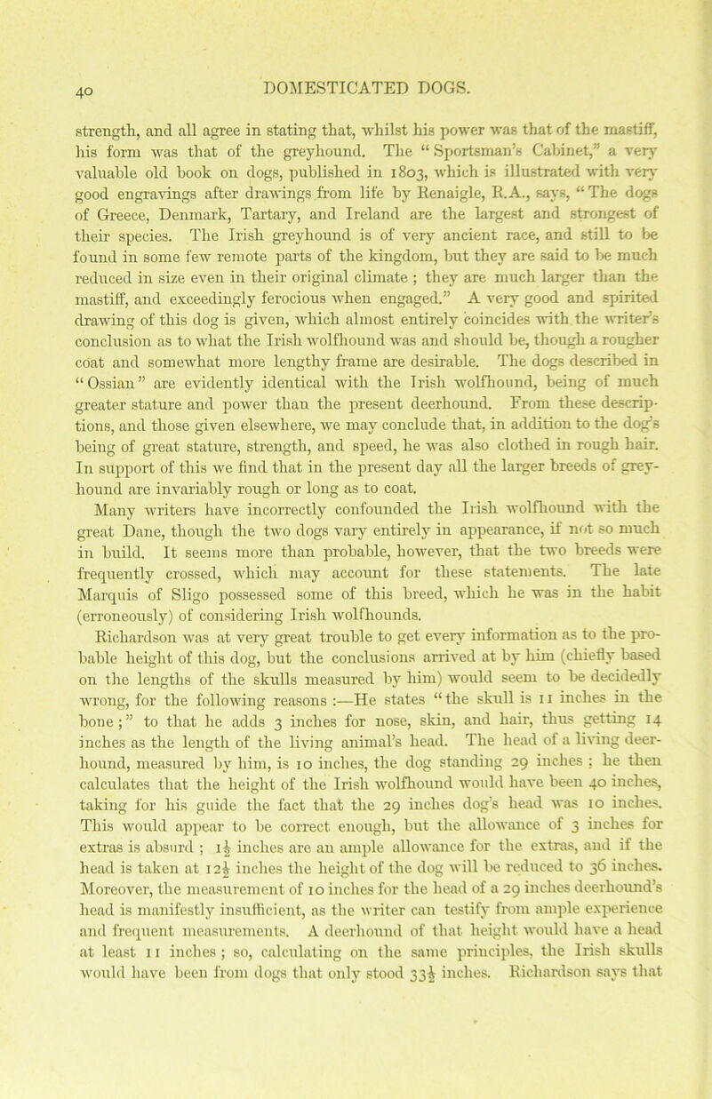 strength, and all agree in stating that, whilst his power was that of the mastiff, his form was that of the greyhound. The “ Sportsman’s Cabinet,” a very valuable old book on dogs, published in 1803, which is illustrated with very good engravings after drawings from life by Renaigle, R. A., says, “ The dogs of Greece, Denmark, Tartary, and Ireland are the largest and strongest of their species. The Irish greyhound is of very ancient race, and still to be found in some lew remote parts of the kingdom, but they are said to be much reduced in size even in their original climate ; they are much larger than the mastiff, and exceedingly ferocious Avhen engaged.” A very good and spirited drawing of this dog is given, which almost entirely coincides with the writer’s conclusion as to what the Irish wolfhound was and should be, though a rougher cOat and somewhat more lengthy frame are desirable. The dogs described in “Ossian” are evidently identical with the Irish wolfhound, being of much greater stature and power than the present deerhound. From these descrip- tions, and those given elsewhere, we may conclude that, in addition to the dog’s being of great stature, strength, and speed, he was also clothed in rough hair. In support of this we find that in the present day all the larger breeds of grey- hound are invariably rough or long as to coat. Many writers have incorrectly confounded the Irish wolfhound with the great Dane, though the two dogs vary entirely in appearance, if not so much in build. It seems more than probable, however, that the two breeds were frequently crossed, which may account for these statements. The late Marquis of Sligo possessed some of this breed, which he was in the habit (erroneously) of considering Irish wolfhounds. Richardson was at very great trouble to get every information as to the pro- bable height of this dog, but the conclusions arrived at by him (chiefly based on the lengths of the skulls measured by him) would seem to be decidedly wrong, for the following reasons :—He states “ the skull is 11 inches in the bone;” to that he adds 3 inches for nose, skin, and hair, thus getting 14 inches as the length of the living animal’s head. The head of a living deer- hound, measured by him, is 10 inches, the dog standing 29 inches ; he then calculates that the height of the Irish wolfhound would have been 40 inches, taking for his guide the fact that the 29 inches dogs head was 10 inches. This would appear to be correct enough, but the allowance of 3 inches for extras is absurd ; inches are an ample allowance for the extras, and if the head is taken at r 2I inches the height of the dog will be reduced to 36 inches. Moreover, the measurement of 10 inches for the head of a 29 inches deerhound’s head is manifestly insufficient, as the writer can testify from ample experience and frequent measurements. A deerhound of that height would have a head at least 11 inches; so, calculating on the same principles, the Irish skulls would have been from dogs that only stood 33^ inches. Richardson says that.