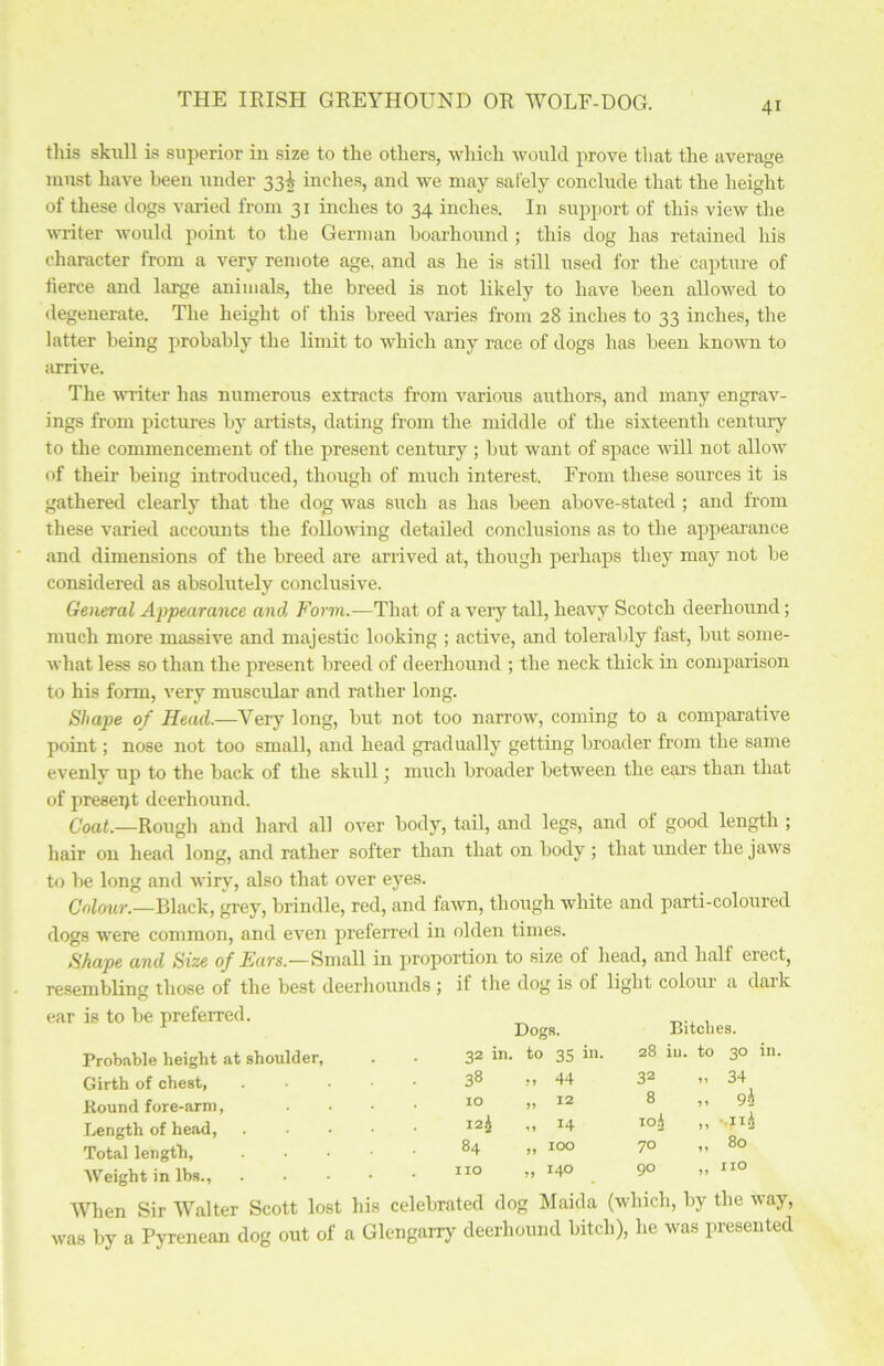 this skull is superior in size to the others, which would prove that the average must have been under 33^ inches, and we may safely conclude that the height of these dogs varied from 31 inches to 34 inches. In support of this view the uniter would point to the German boarhound ; this dog has retained his character trom a very remote age, and as he is still used for the capture of tierce and large animals, the breed is not likely to have been allowed to degenerate. The height of this breed varies from 28 inches to 33 inches, the latter being probably the limit to which any race of dogs has been known to arrive. The writer has numerous extracts from various authors, and many engrav- ings from pictures by artists, dating from the middle of the sixteenth century to the commencement of the present century ; but want of space will not allow of their being introduced, though of much interest. From these sources it is gathered clearly that the dog was such as has been above-stated ; and from these varied accounts the following detailed conclusions as to the appearance and dimensions of the breed are arrived at, though perhaps they may not be considered as absolutely conclusive. General Appearance and Form.-—That of a very tall, heavy Scotch deerhound; much more massive and majestic looking ; active, and tolerably fast, but some- what less so than the present breed of deerhound ; the neck thick in comparison to his form, very muscular and rather long. Shape of Head.—Very long, but not too narrow, coming to a comparative point; nose not too small, and head gradually getting broader from the same evenlv up to the back of the skull; much broader between the ears than that of presept deerhound. Coat.—Rough and hard all over body, tail, and legs, and ol good length ; hair on head long, and rather softer than that on body ; that under the jaws to be long and wiry, also that over eyes. Colour.—Black, grey, brindle, red, and fawn, though white and parti-coloured dogs were common, and even preferred in olden times. Shape and Size of Ears.—Small in proportion to size of head, and half erect, resembling those of the best deerhounds ; it the dog is ol light colour a dark ear is to be preferred. Probable height at shoulder, Girth of chest, Round fore-arm, Length of head, Total length, Weight in lbs.. Dogs. Bitches. 32 in. to 35 28 iu. to 30 in. 38 ?» 44 32 11 34 10 11 12 8 11 9* 124 1* 14 roi 11 • ii^ 84 11 100 70 11 80 no 11 140 90 11 no When Sir Walter Scott lost his celebrated dog Maida (which, by the way, was by a Pyrenean dog out of a Glengarry deerhound bitch), he was presented